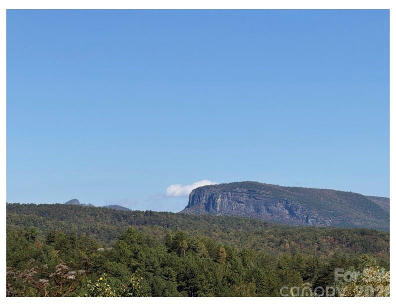 Lot at Lot #4 Pisgah Preserve Drive, Nebo, photo 5 of 5