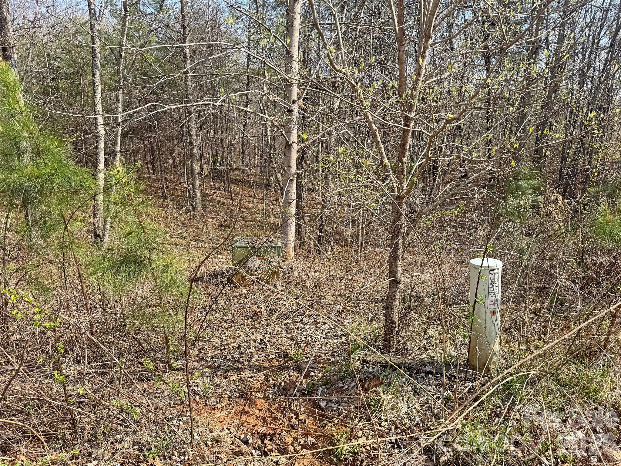 Lot at VL Amberwood Place, Rutherfordton, photo 3 of 18