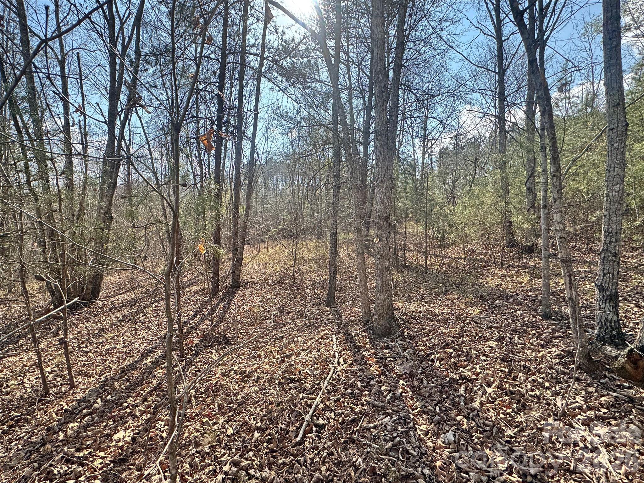 Lot at VL Amberwood Place, Rutherfordton, photo 4 of 18