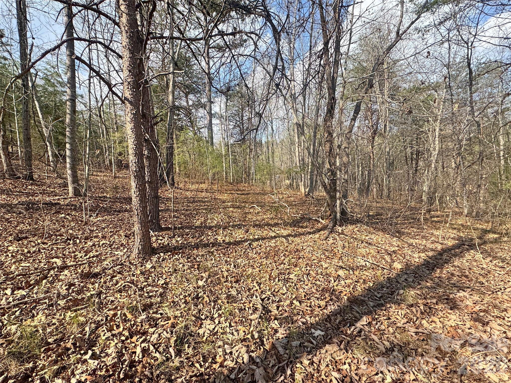 Lot at VL Amberwood Place, Rutherfordton, photo 7 of 18