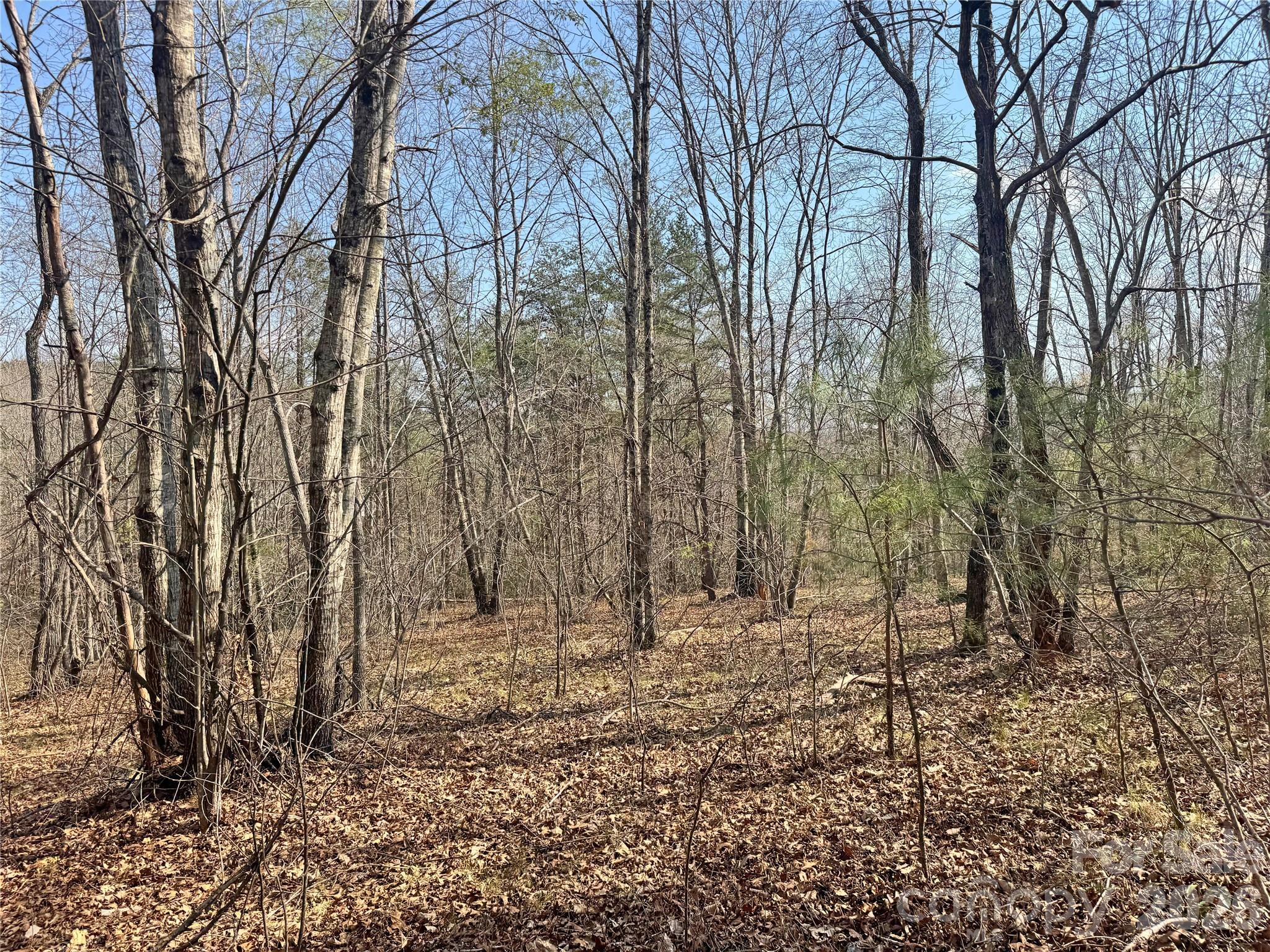Lot at VL Amberwood Place, Rutherfordton, photo 8 of 18