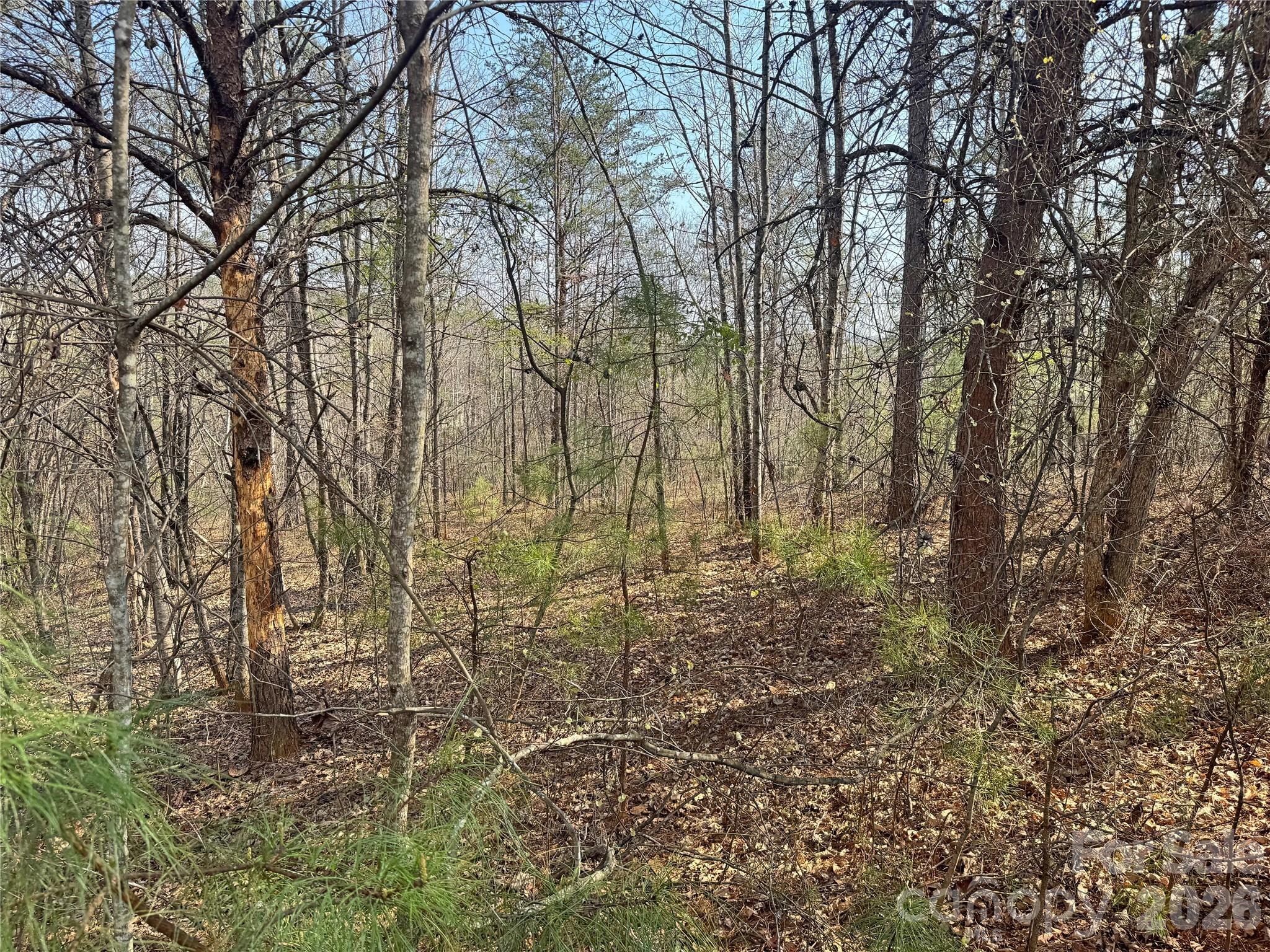 Lot at VL Amberwood Place, Rutherfordton, photo 9 of 18