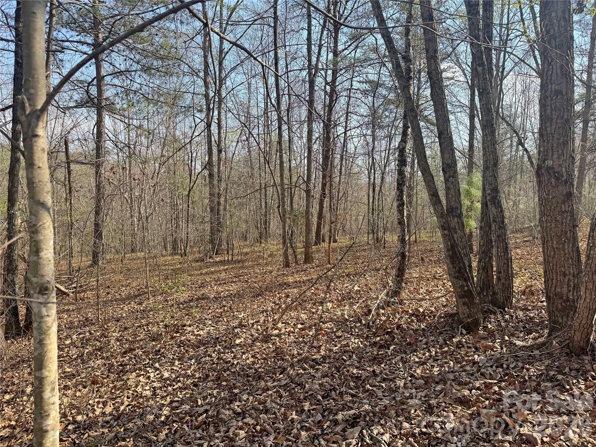 Lot at VL Amberwood Place, Rutherfordton, photo 10 of 18