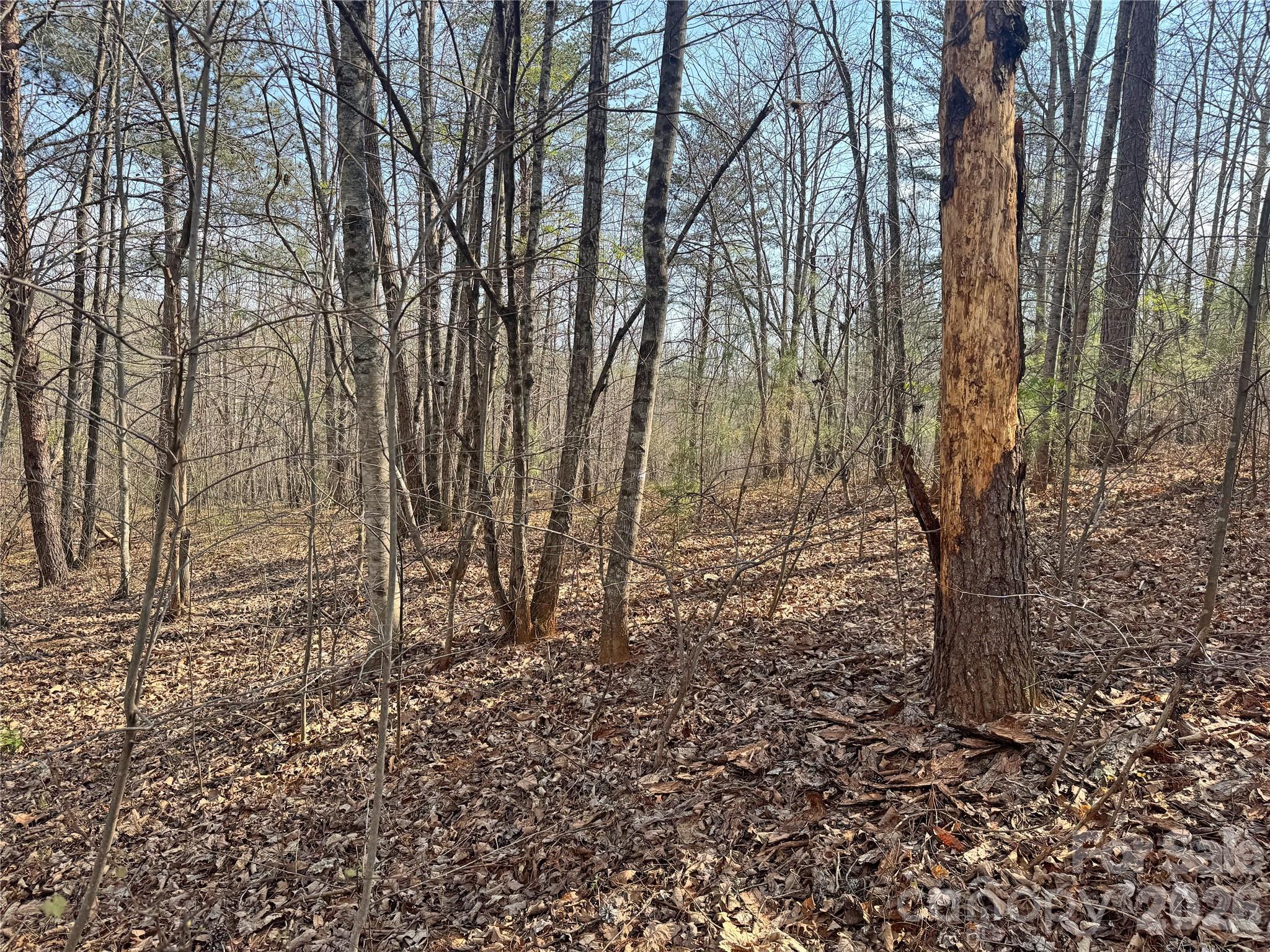 Lot at VL Amberwood Place, Rutherfordton, photo 11 of 18