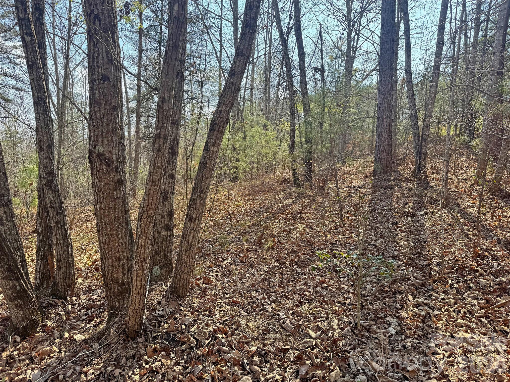 Lot at VL Amberwood Place, Rutherfordton, photo 13 of 18