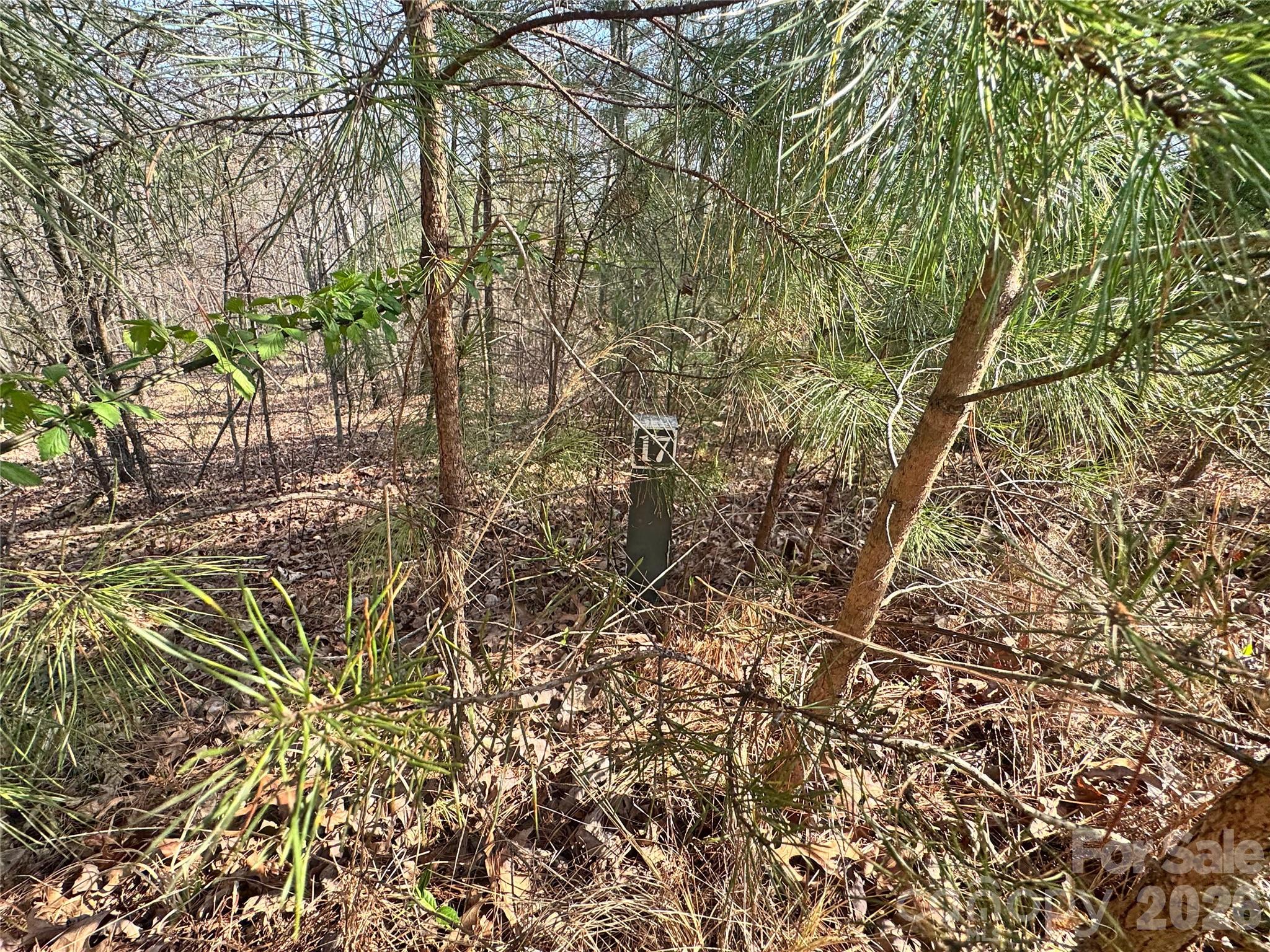 Lot at VL Amberwood Place, Rutherfordton, photo 14 of 18