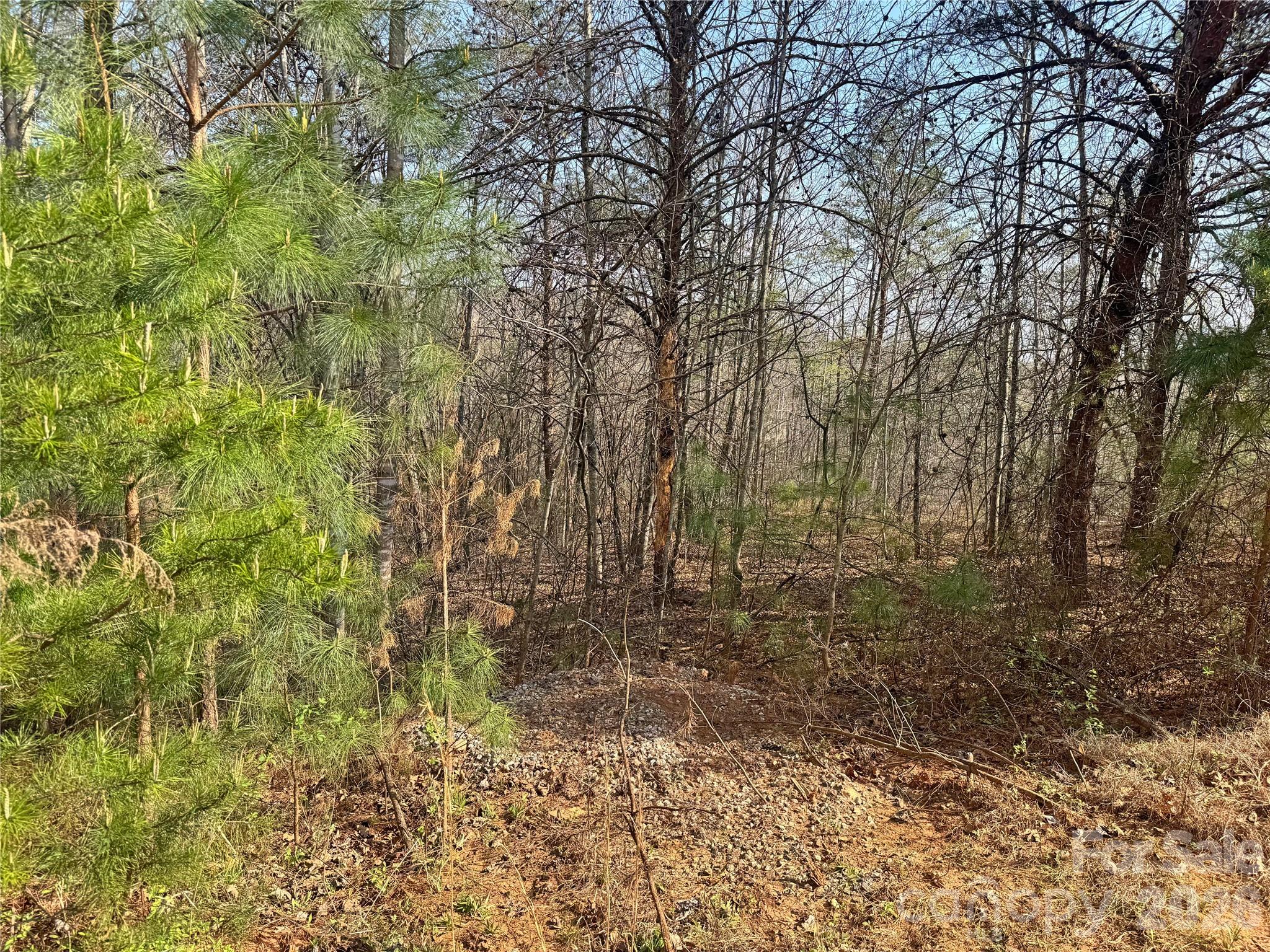 Lot at VL Amberwood Place, Rutherfordton, photo 15 of 18