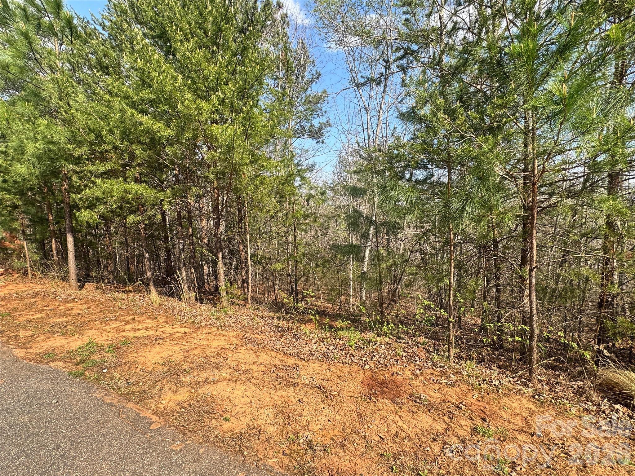 Lot at VL Amberwood Place, Rutherfordton, photo 18 of 18