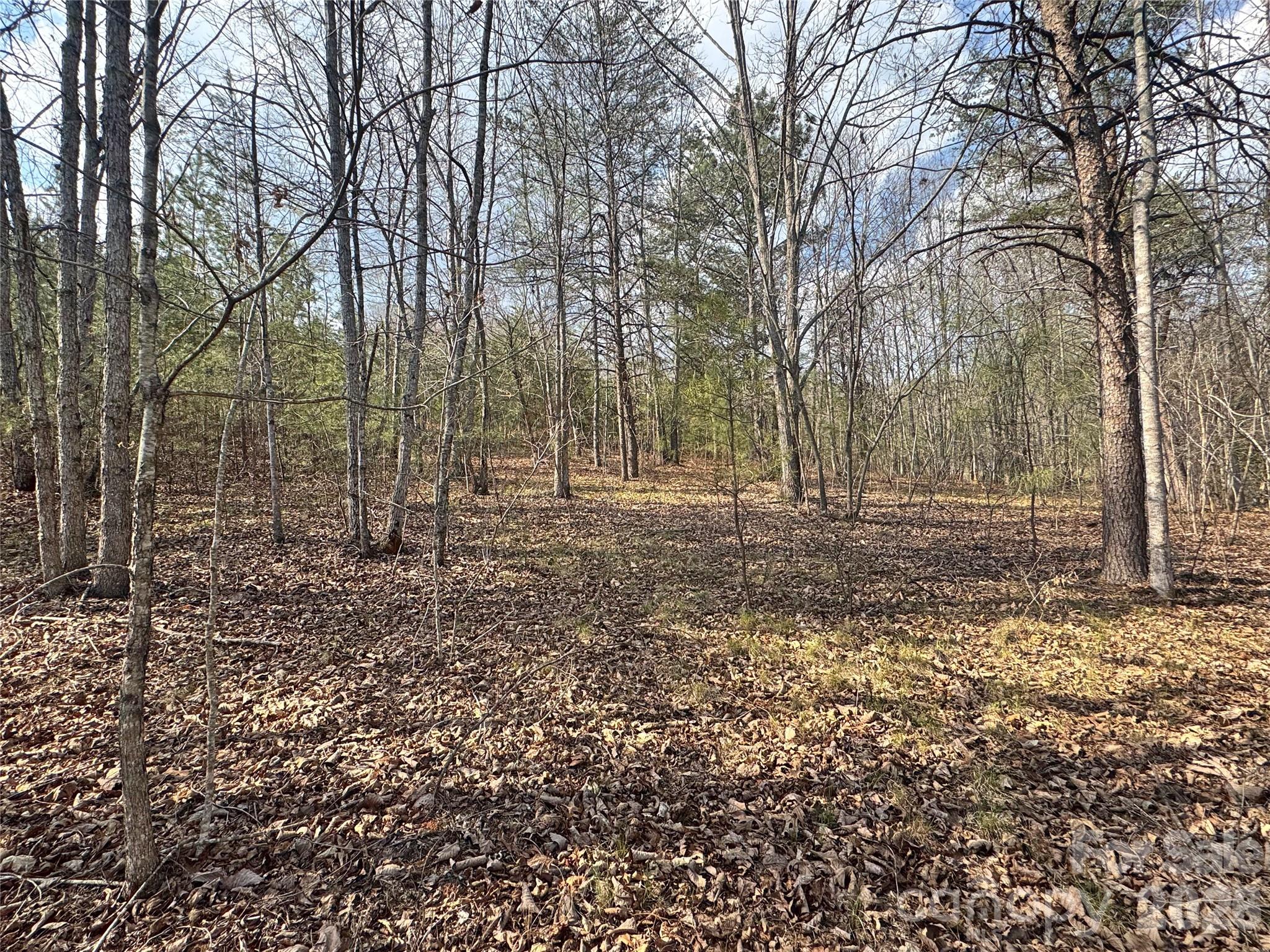 Lot at VL Amberwood Place, Rutherfordton, photo 17 of 18