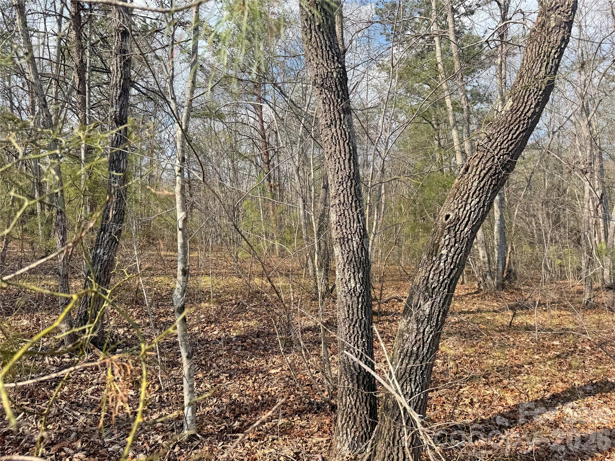Lot at VL Amberwood Place, Rutherfordton, photo 16 of 18
