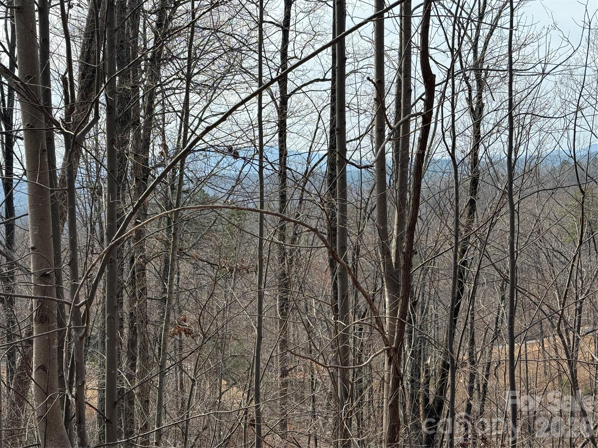 Lot at Lot 236 Rock Ledge Drive, Lake Lure, photo 2 of 32