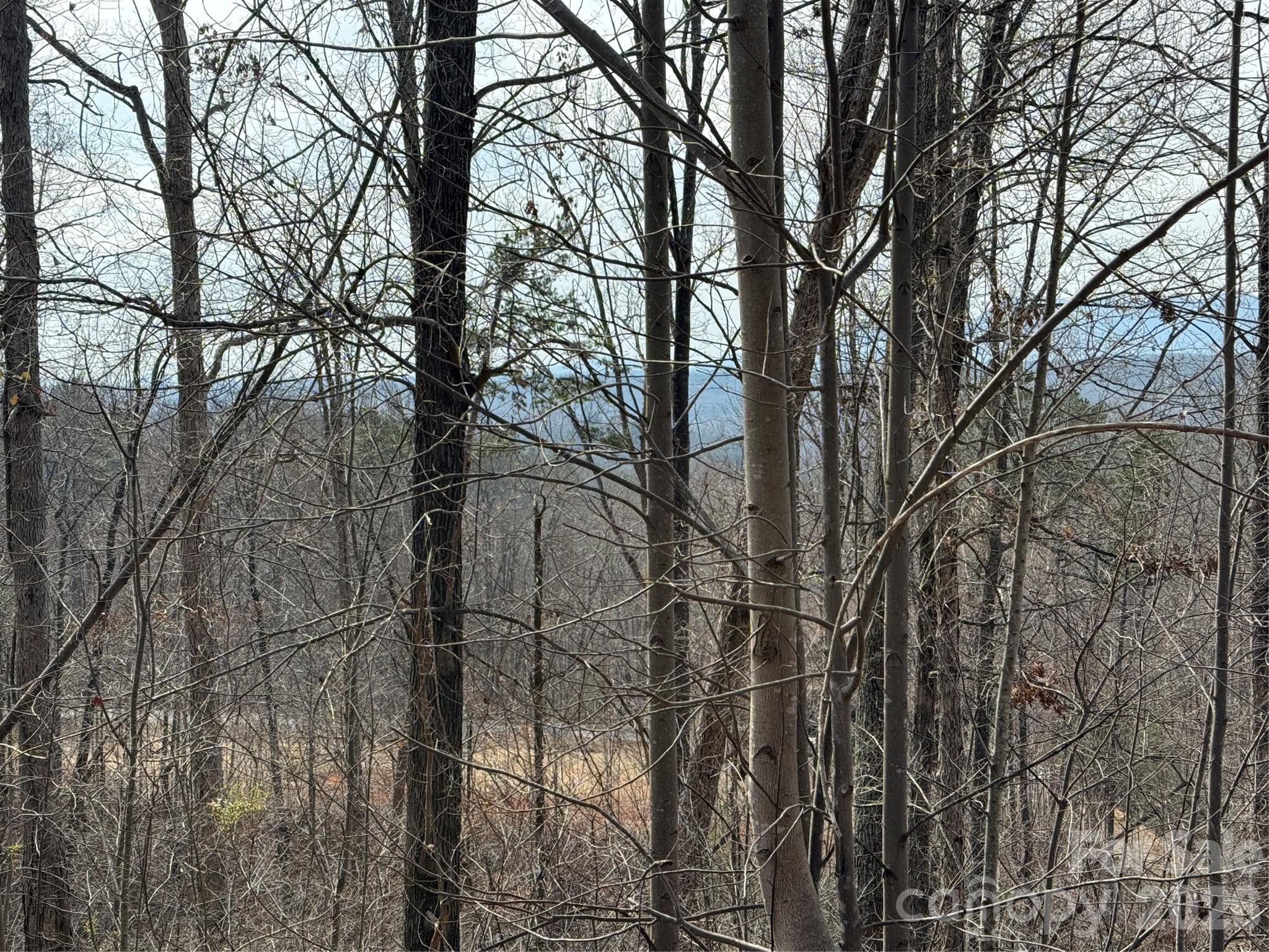 Lot at Lot 236 Rock Ledge Drive, Lake Lure, photo 3 of 32