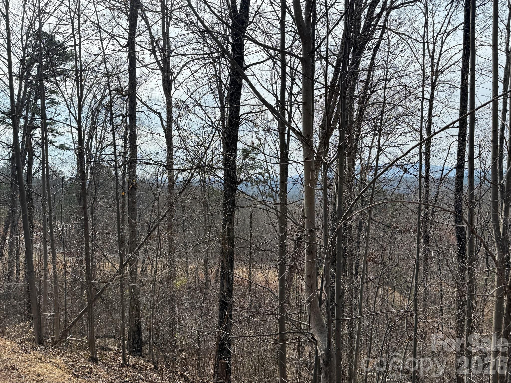 Lot at Lot 236 Rock Ledge Drive, Lake Lure, photo 4 of 32