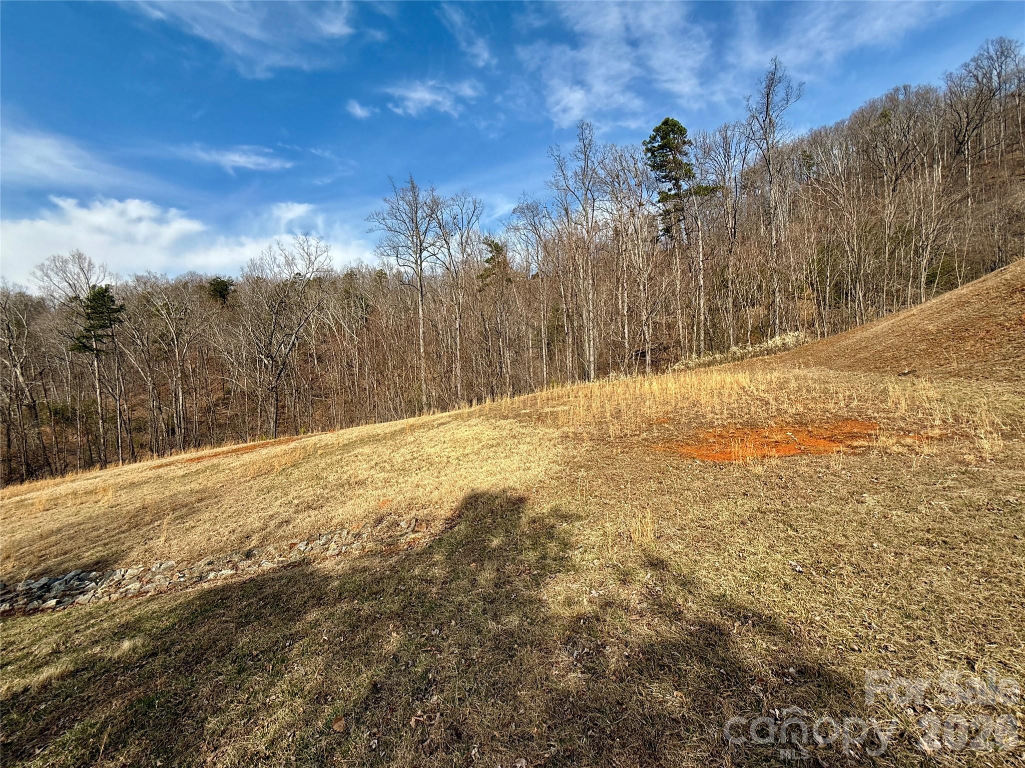Lot at Lot 236 Rock Ledge Drive, Lake Lure, photo 6 of 32