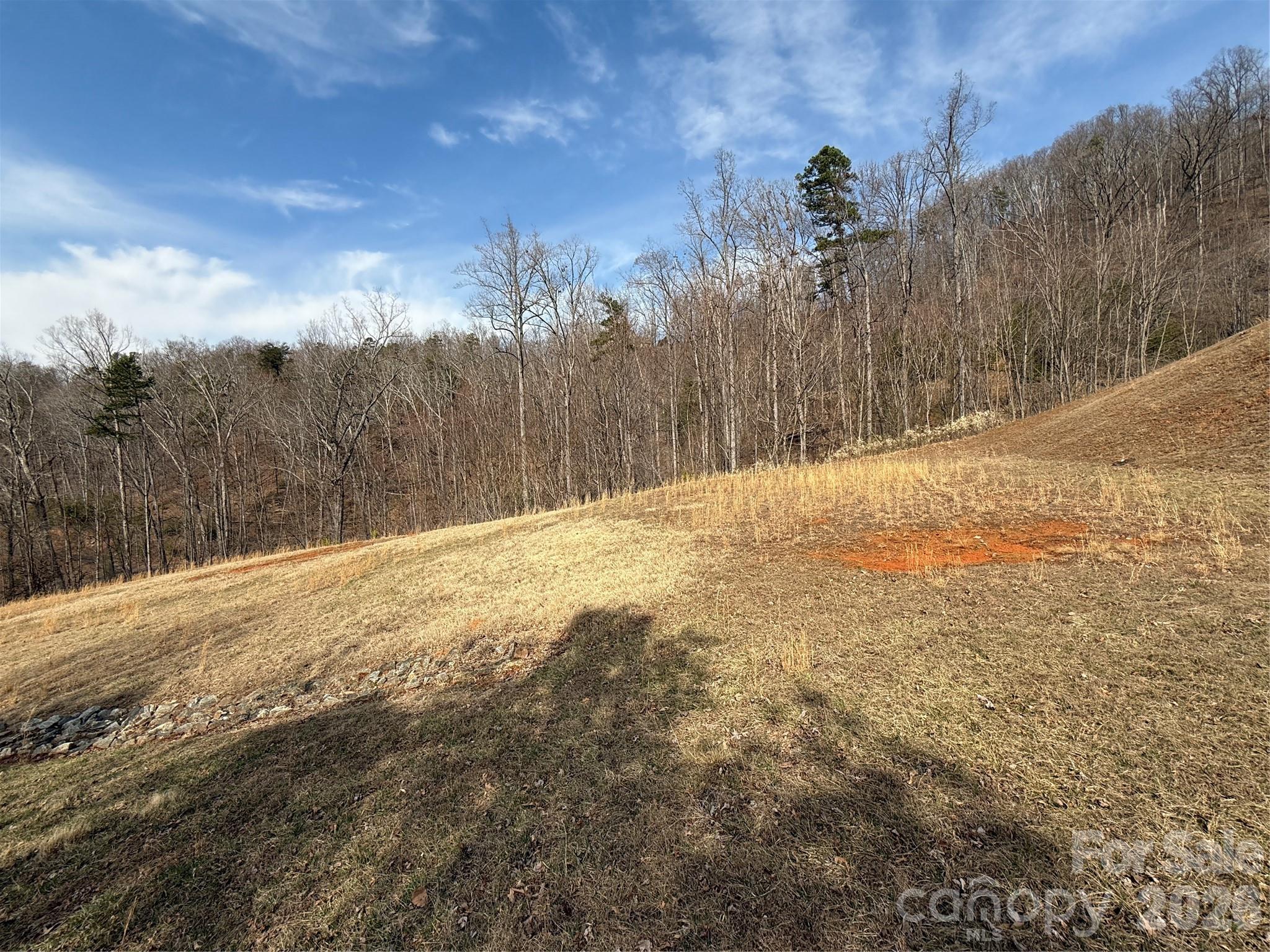 Lot at Lot 236 Rock Ledge Drive, Lake Lure, photo 9 of 32