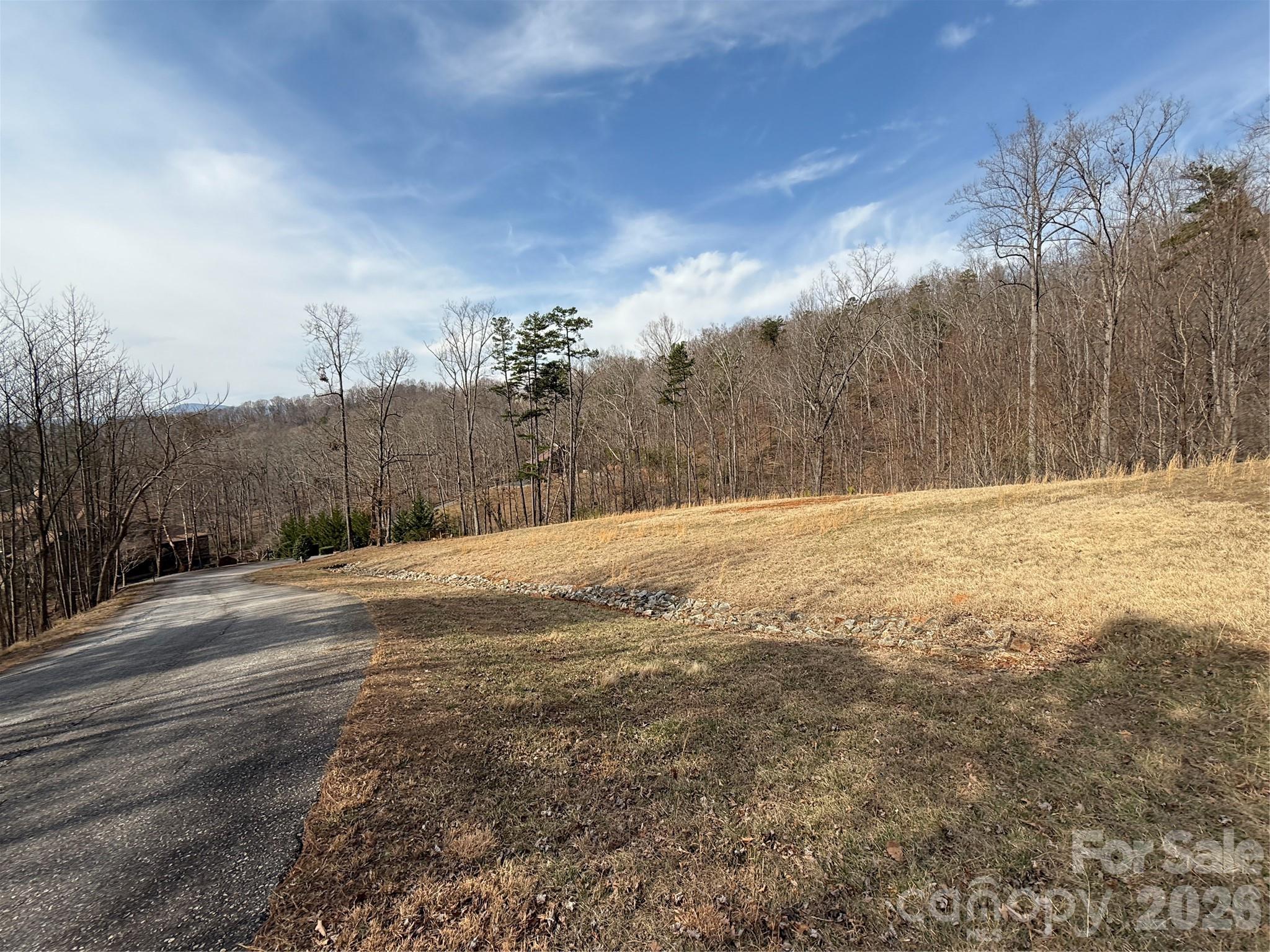 Lot at Lot 236 Rock Ledge Drive, Lake Lure, photo 10 of 32