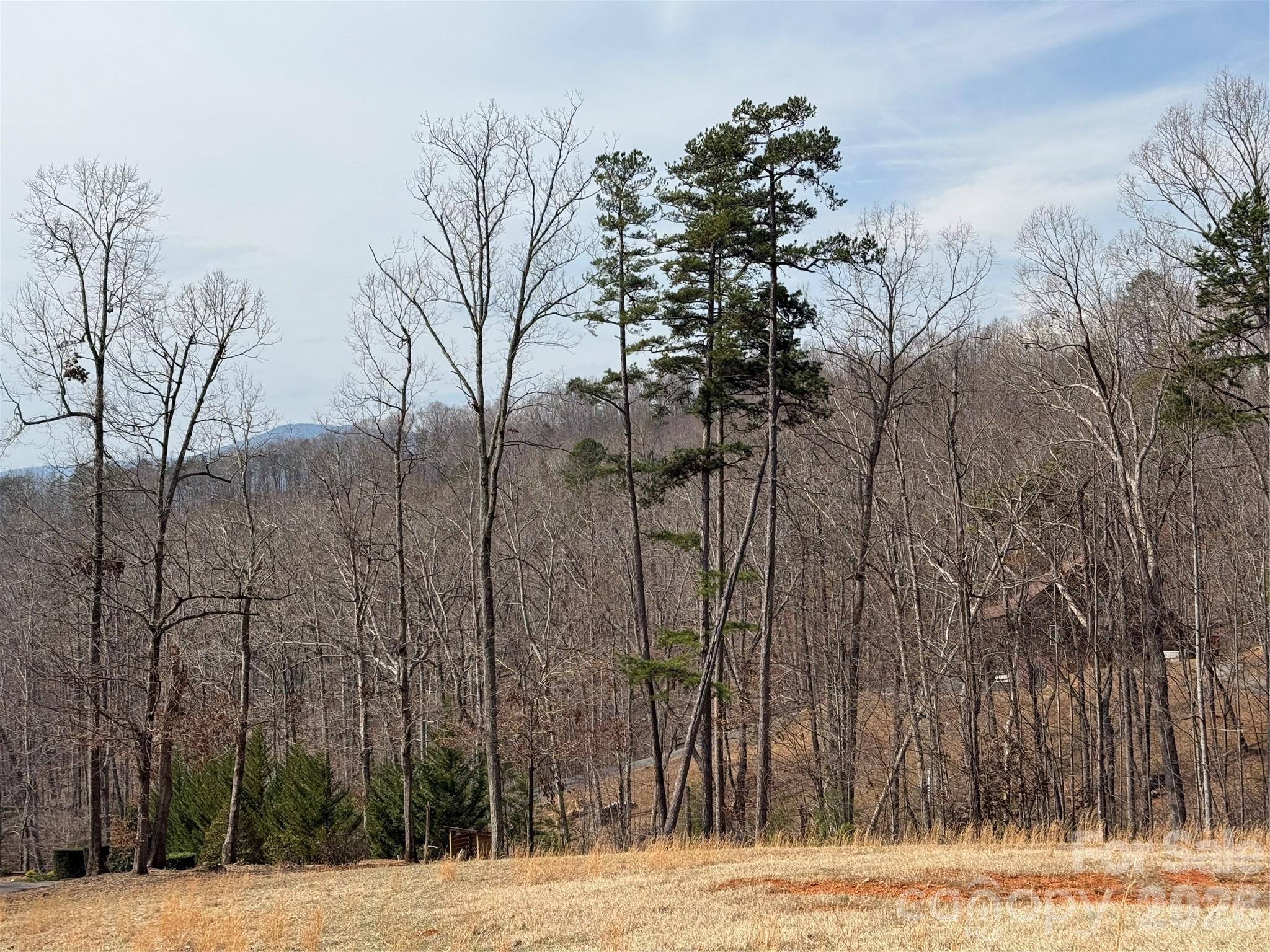 Lot at Lot 236 Rock Ledge Drive, Lake Lure, photo 11 of 32