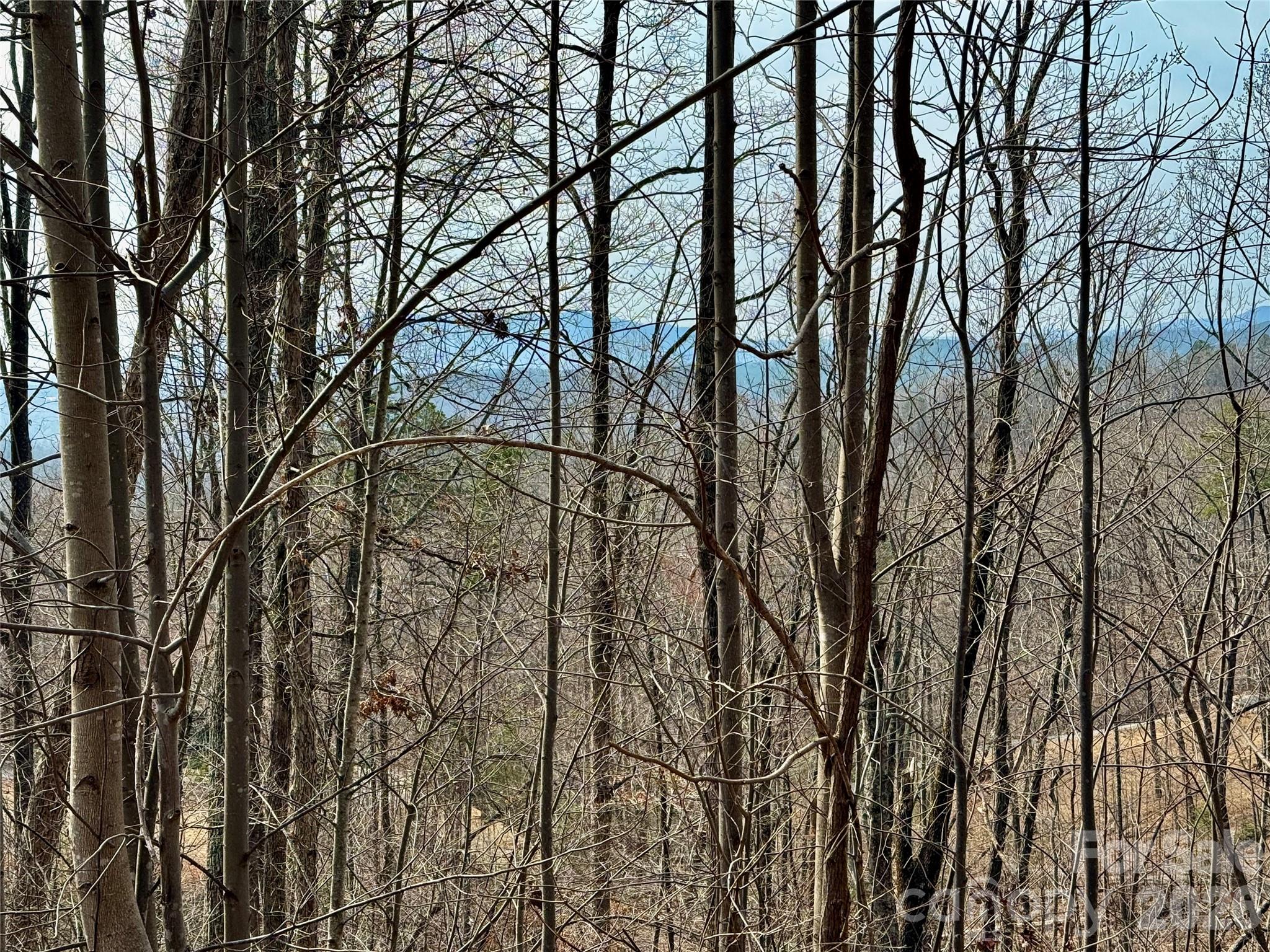 Lot at Lot 236 Rock Ledge Drive, Lake Lure, photo 18 of 32