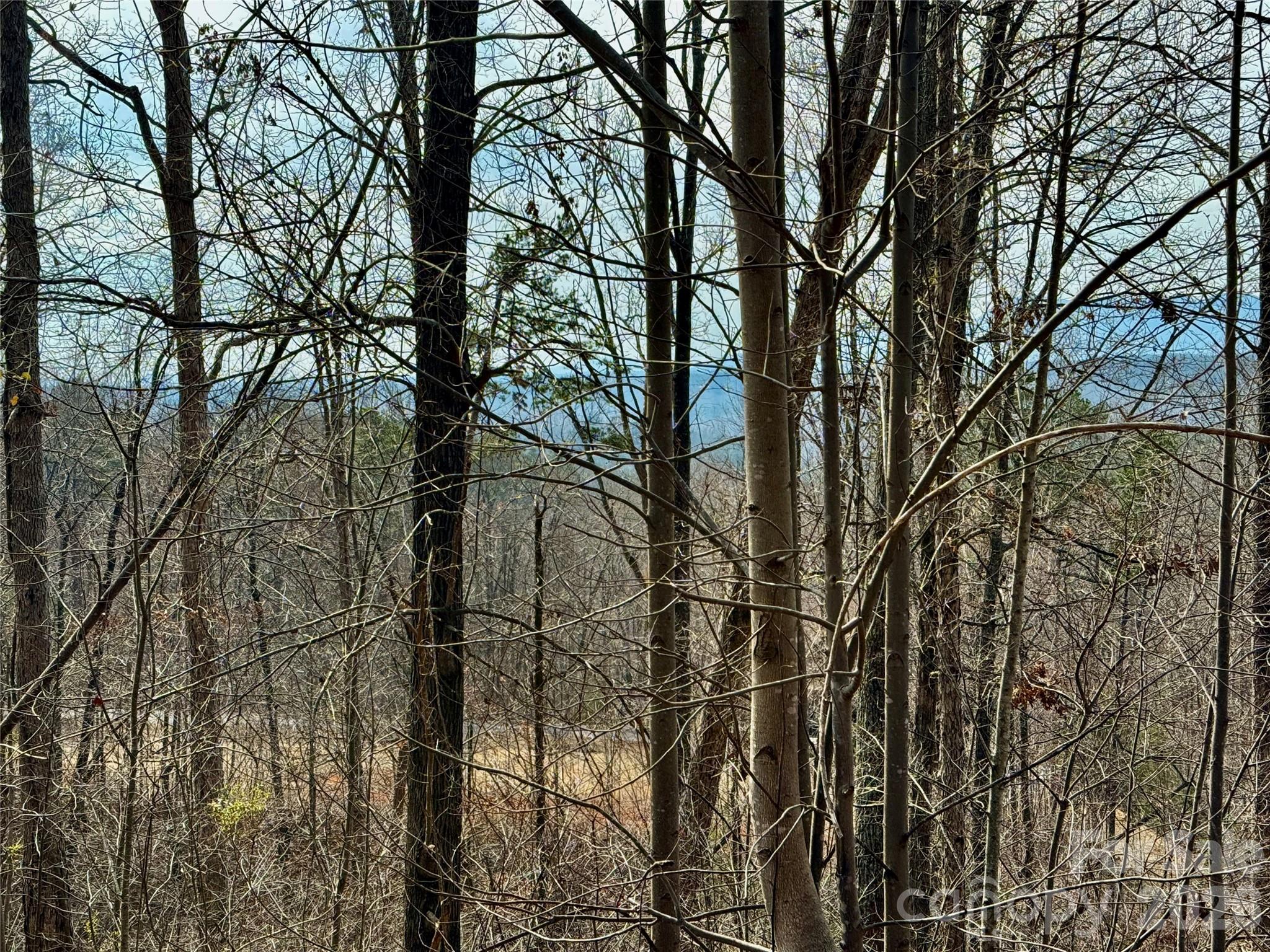 Lot at Lot 236 Rock Ledge Drive, Lake Lure, photo 19 of 32