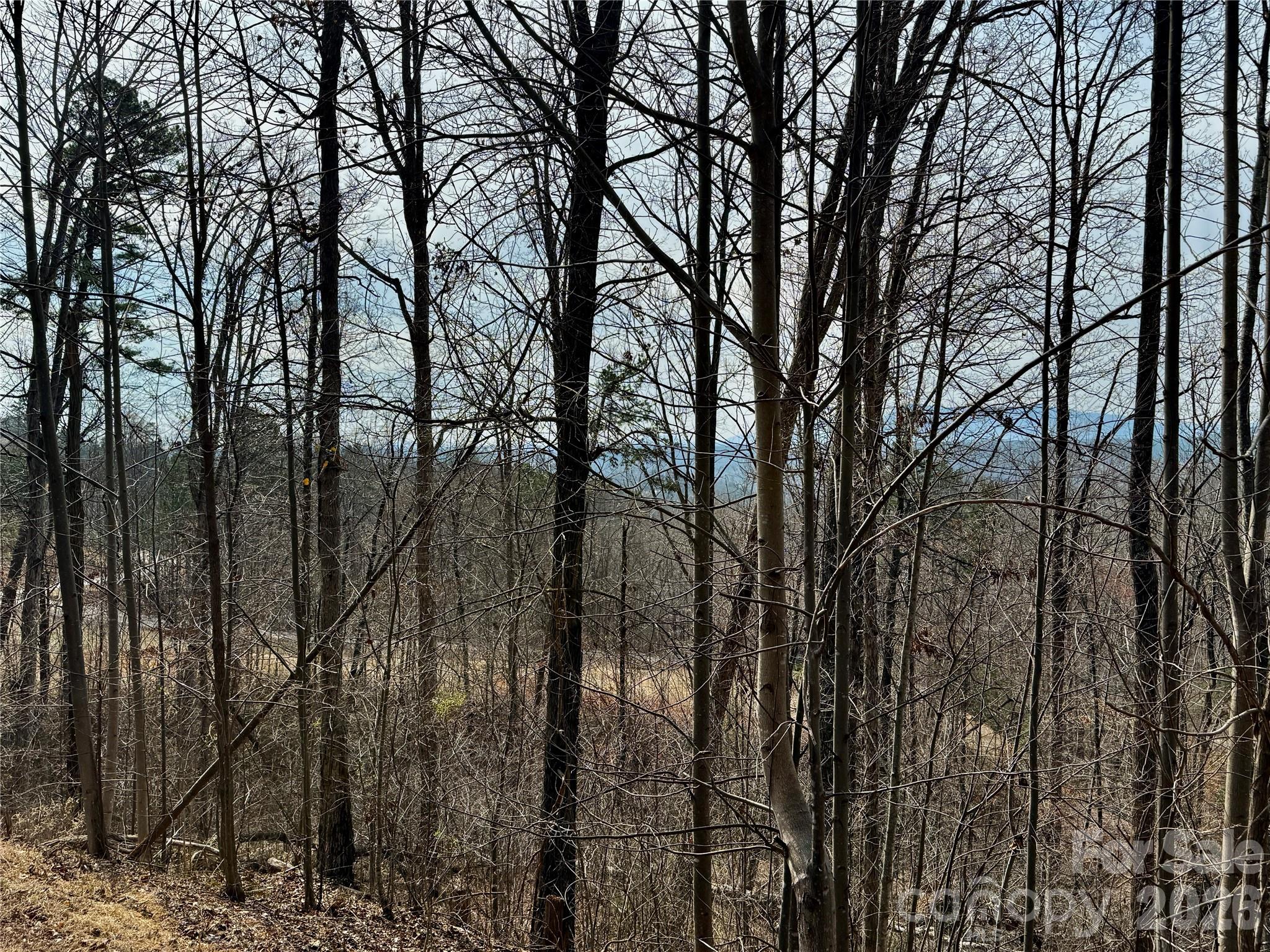Lot at Lot 236 Rock Ledge Drive, Lake Lure, photo 20 of 32
