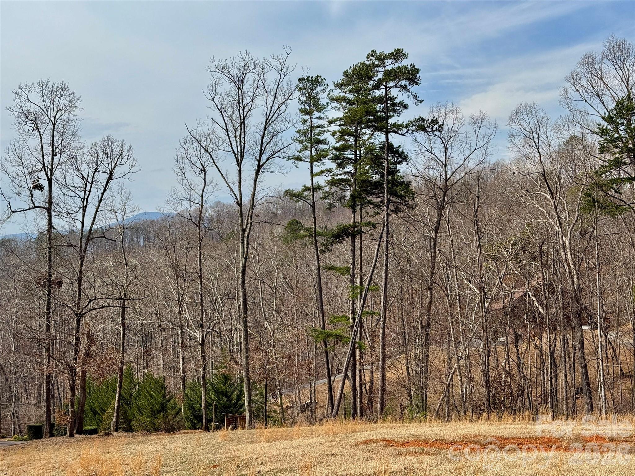 Lot at Lot 236 Rock Ledge Drive, Lake Lure, photo 21 of 32