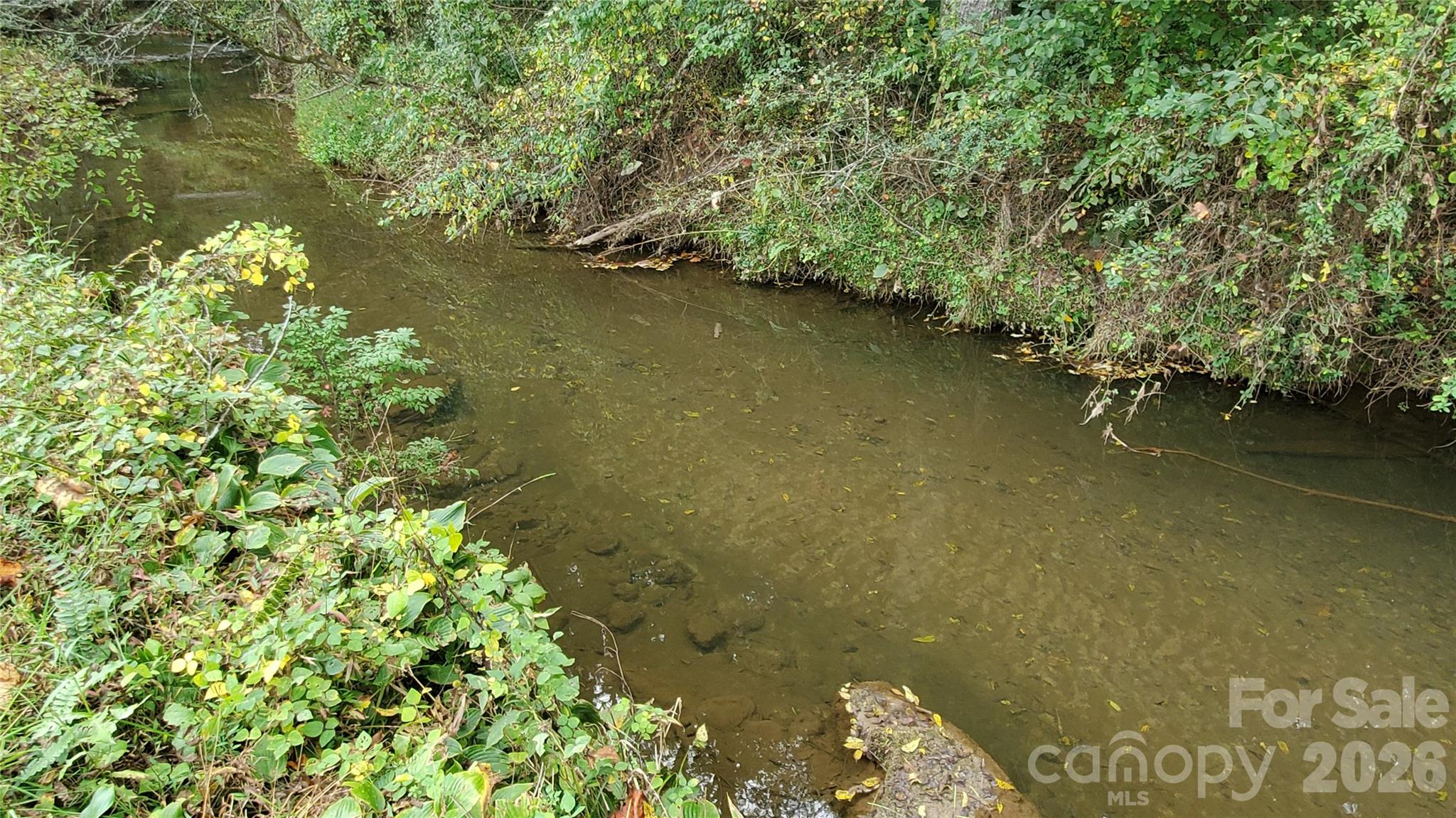 Nicholson Creek just below Lots 1 & 2 and across Nicholson Creek Road. - 1 Main Entrance Street, Brevard