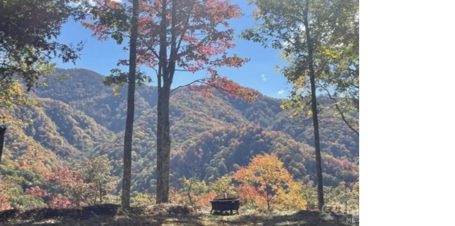 Acreage at 241 Bloom Trail, Sylva, photo 2 of 23