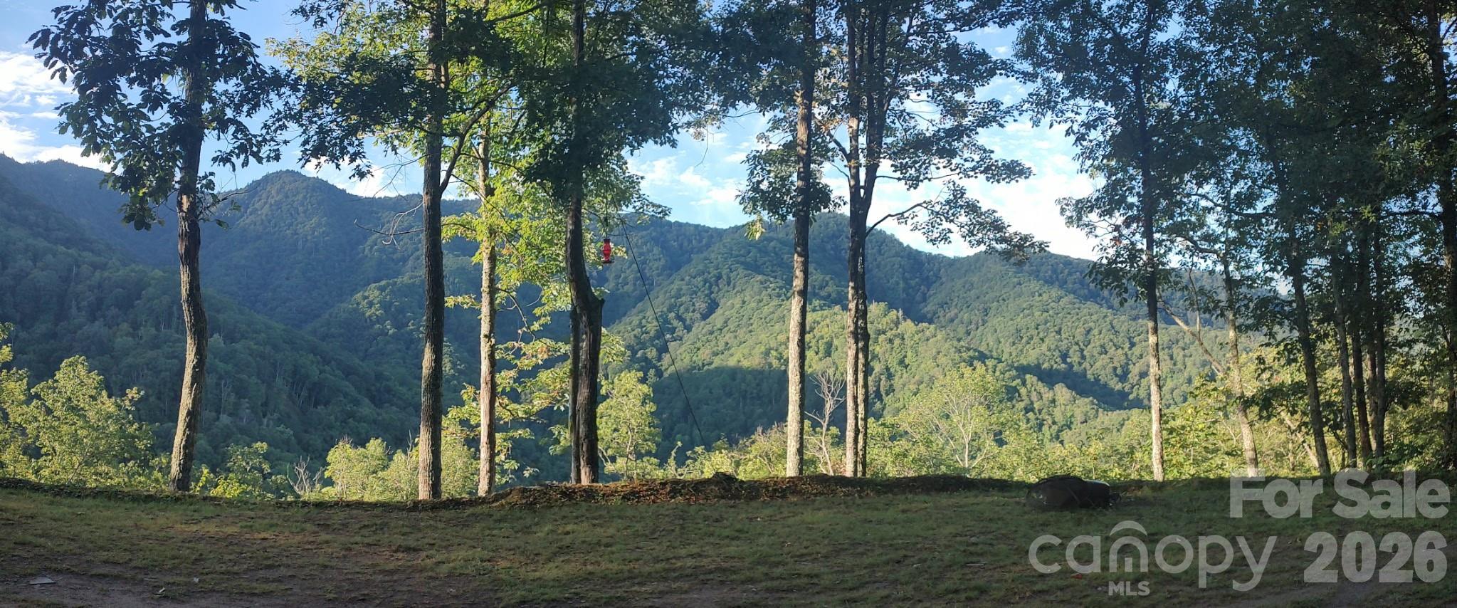 Acreage at 241 Bloom Trail, Sylva, photo 5 of 23
