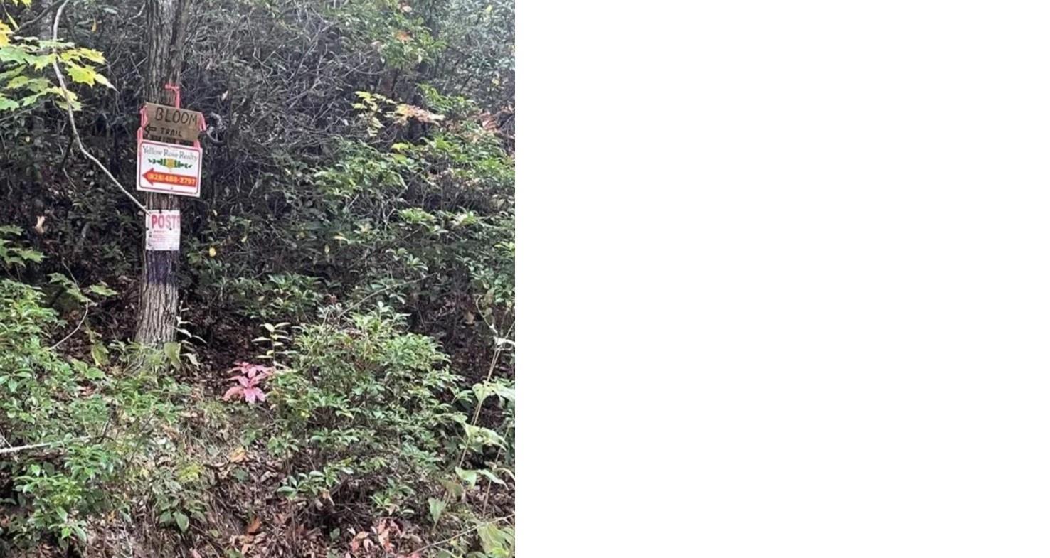 Acreage at 241 Bloom Trail, Sylva, photo 6 of 23