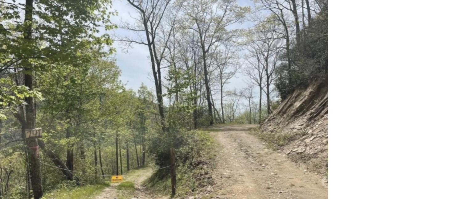 Acreage at 241 Bloom Trail, Sylva, photo 7 of 23