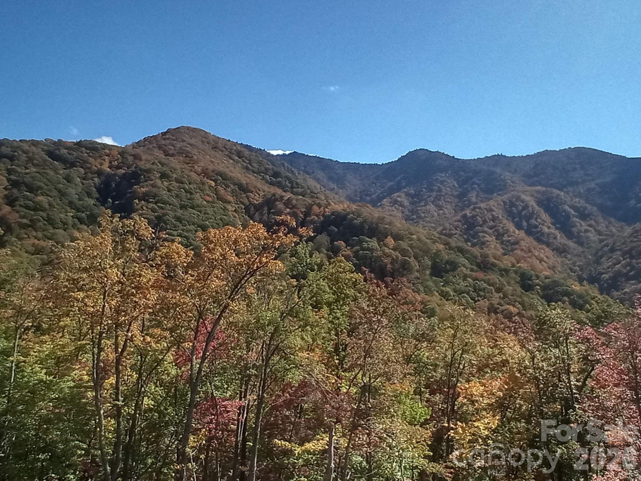 Acreage at 241 Bloom Trail, Sylva, photo 8 of 23