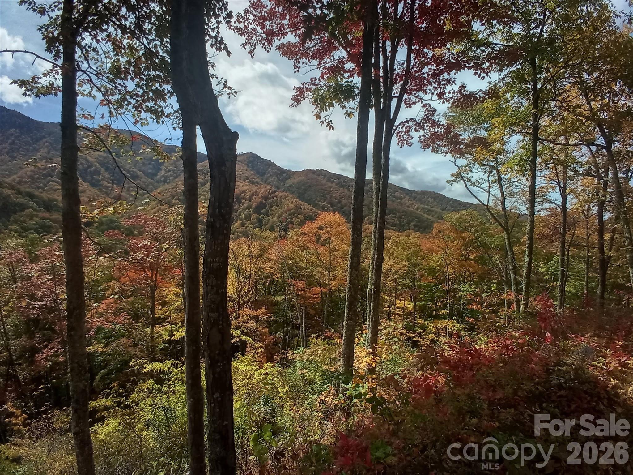 Acreage at 241 Bloom Trail, Sylva, photo 9 of 23