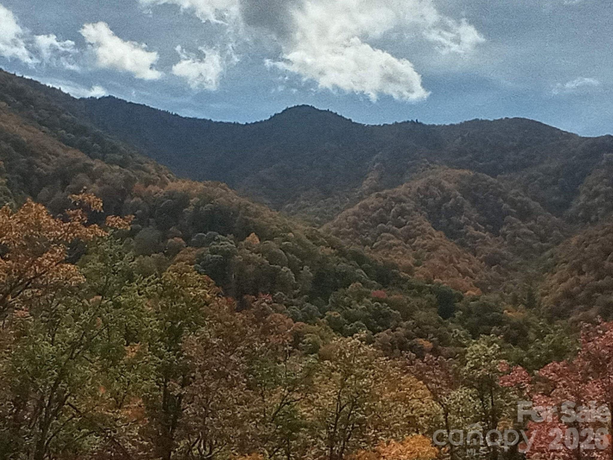 Acreage at 241 Bloom Trail, Sylva, photo 11 of 23