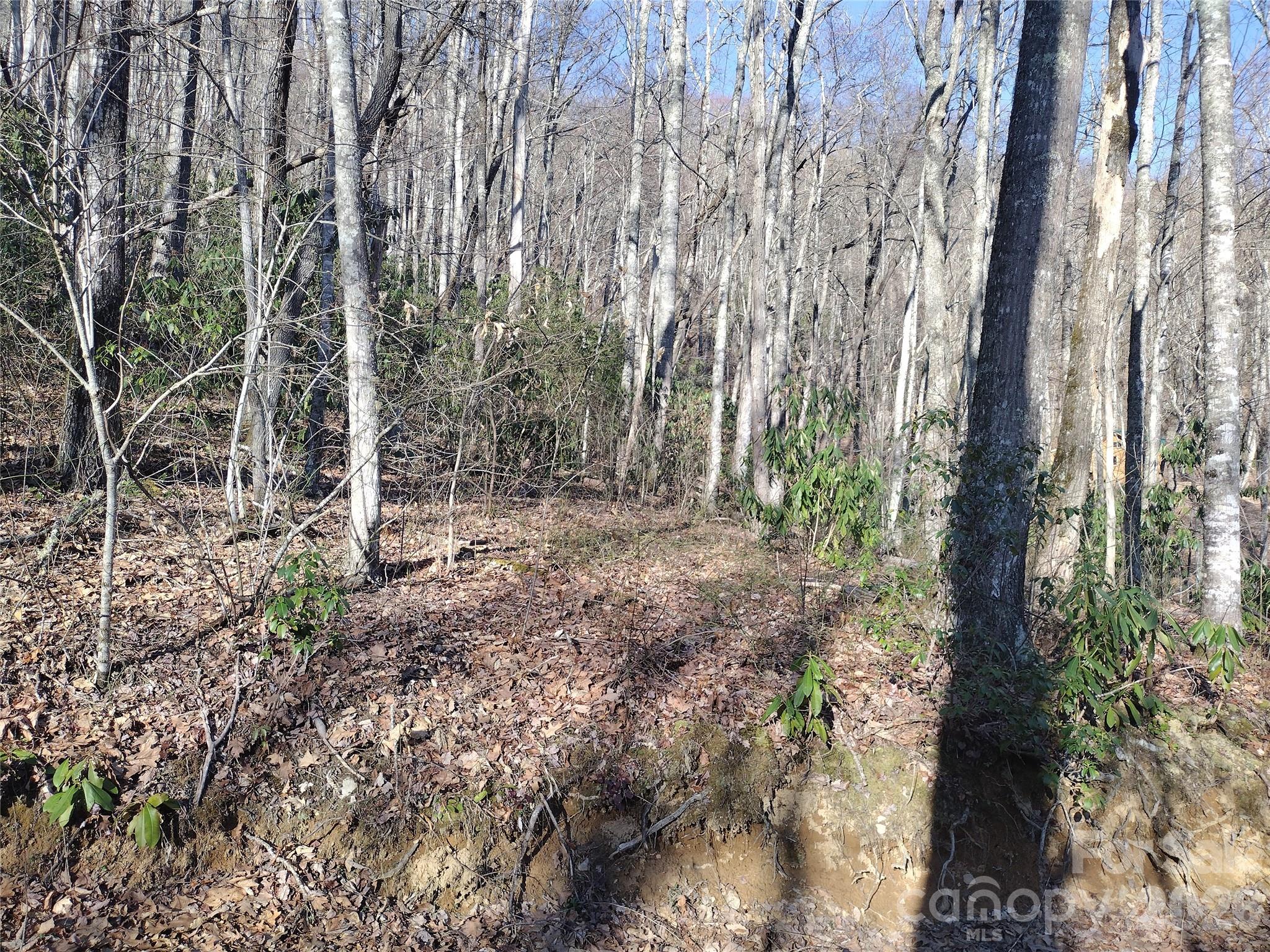 Acreage at 241 Bloom Trail, Sylva, photo 12 of 23