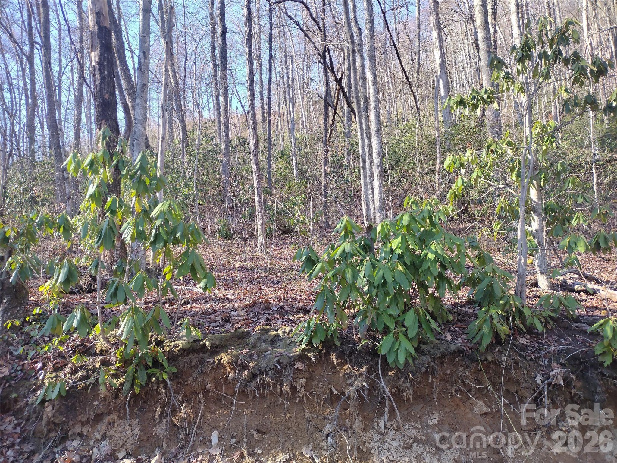 Acreage at 241 Bloom Trail, Sylva, photo 13 of 23