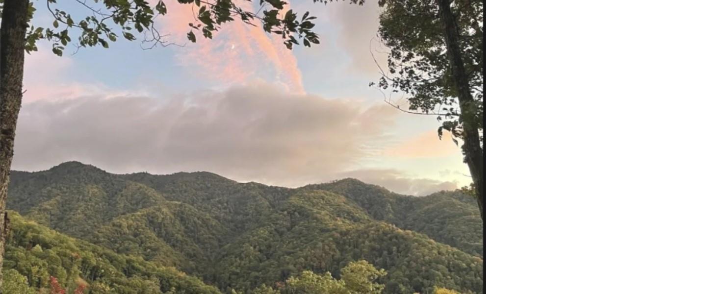 Acreage at 241 Bloom Trail, Sylva, photo 14 of 23