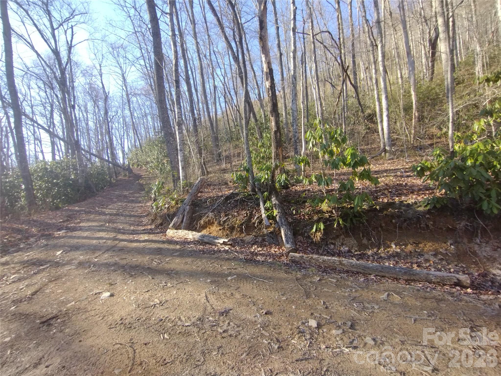 Acreage at 241 Bloom Trail, Sylva, photo 15 of 23