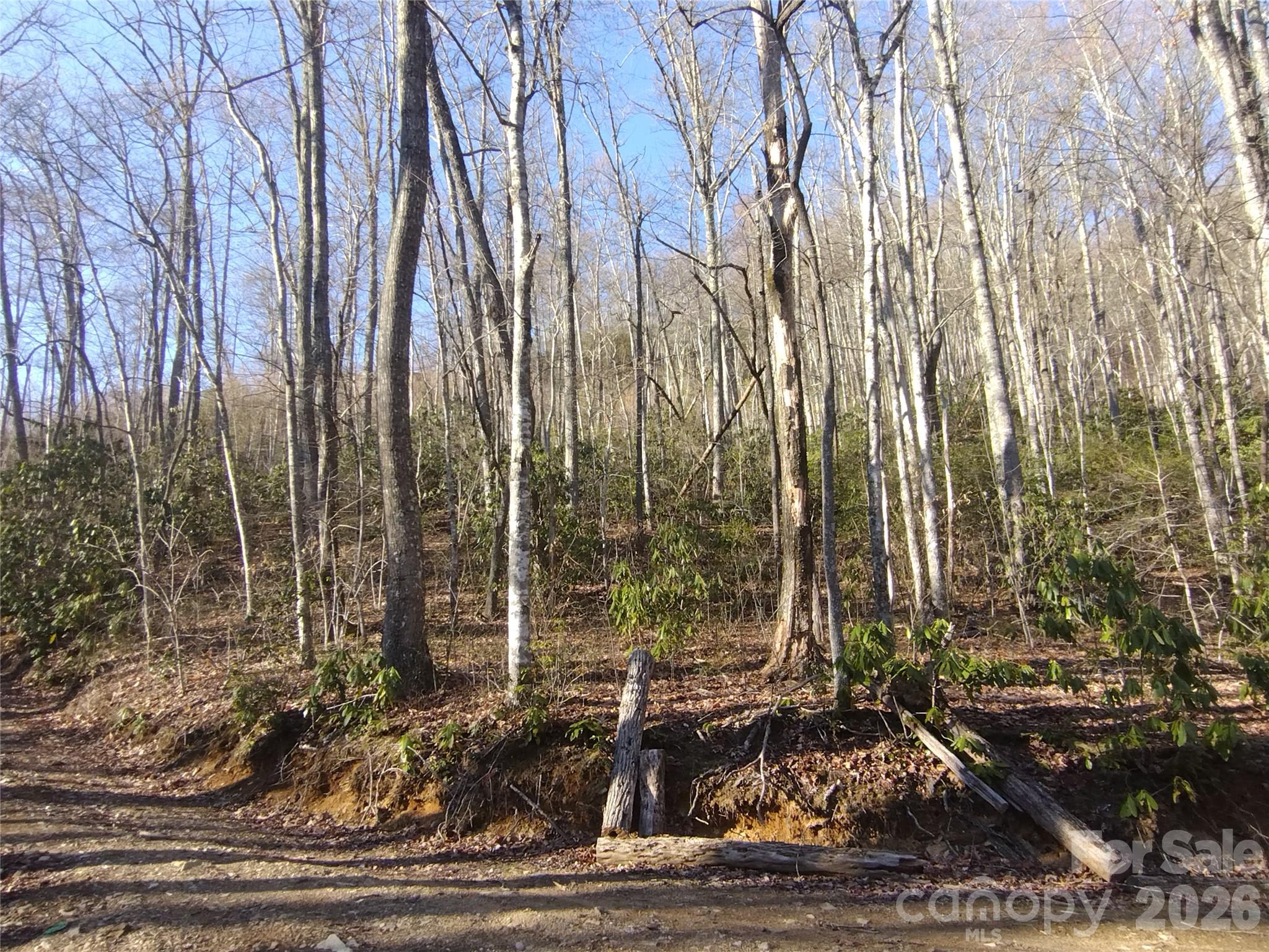 Acreage at 241 Bloom Trail, Sylva, photo 16 of 23