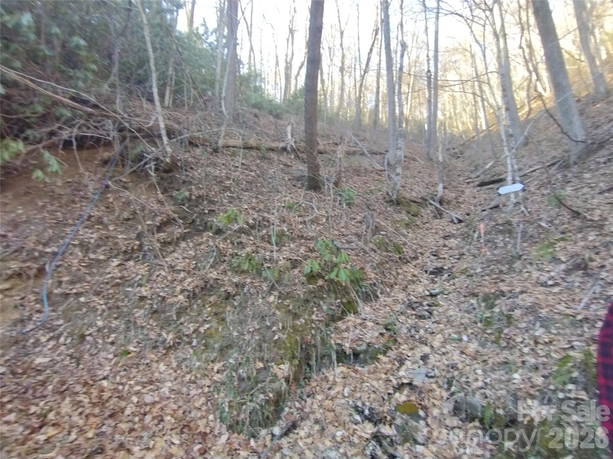 Acreage at 241 Bloom Trail, Sylva, photo 19 of 23