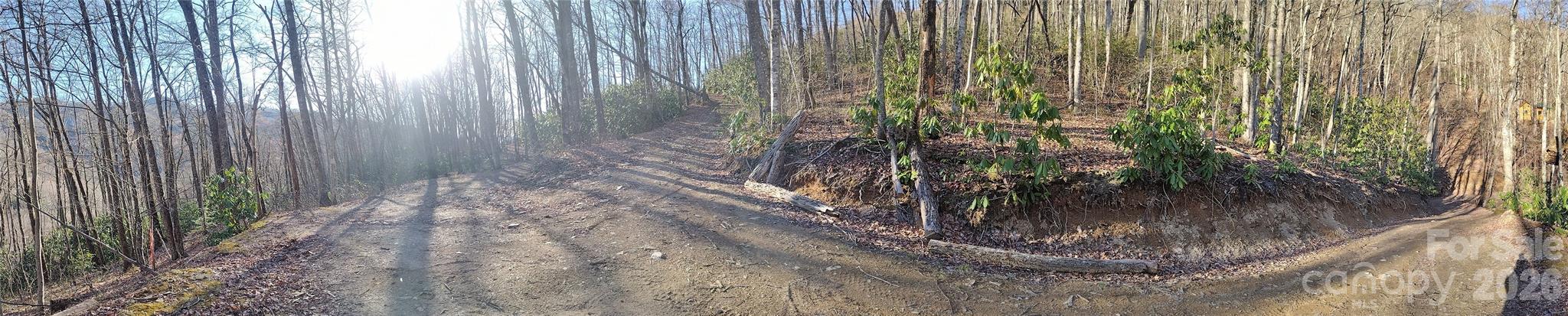 Acreage at 241 Bloom Trail, Sylva, photo 20 of 23