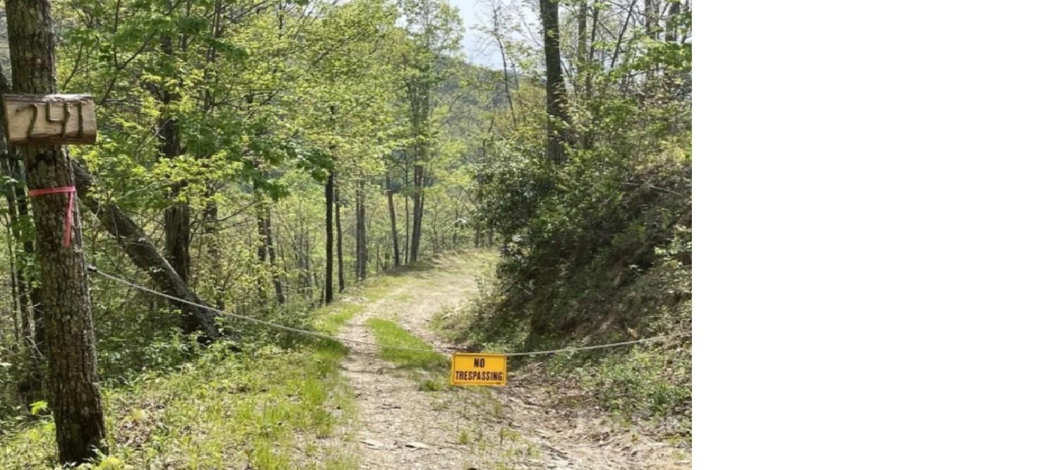 Acreage at 241 Bloom Trail, Sylva, photo 21 of 23