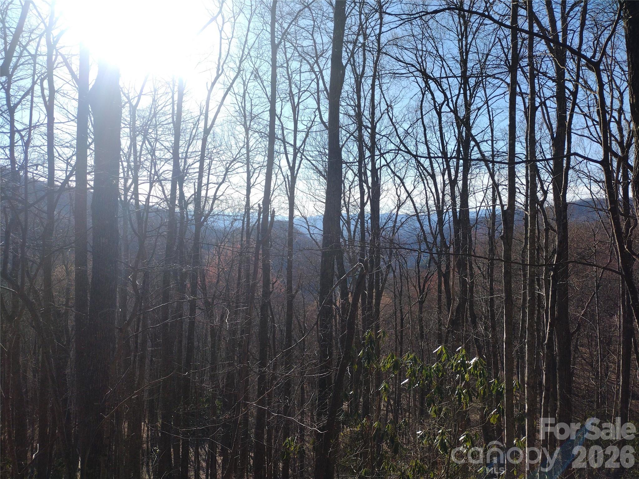 Acreage at 241 Bloom Trail, Sylva, photo 22 of 23