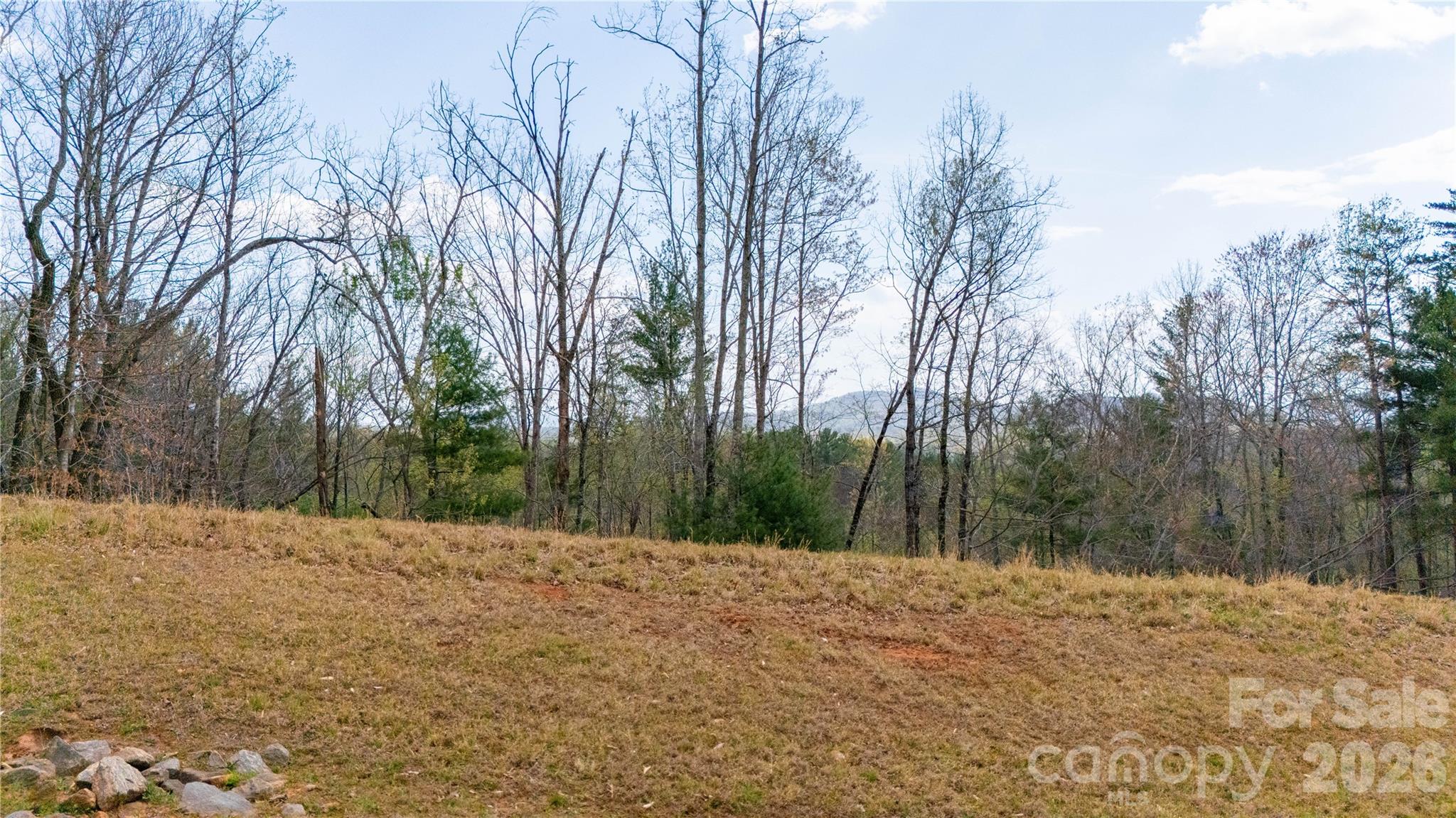 Lot at 0000 High Trail Drive, Nebo, photo 10 of 14
