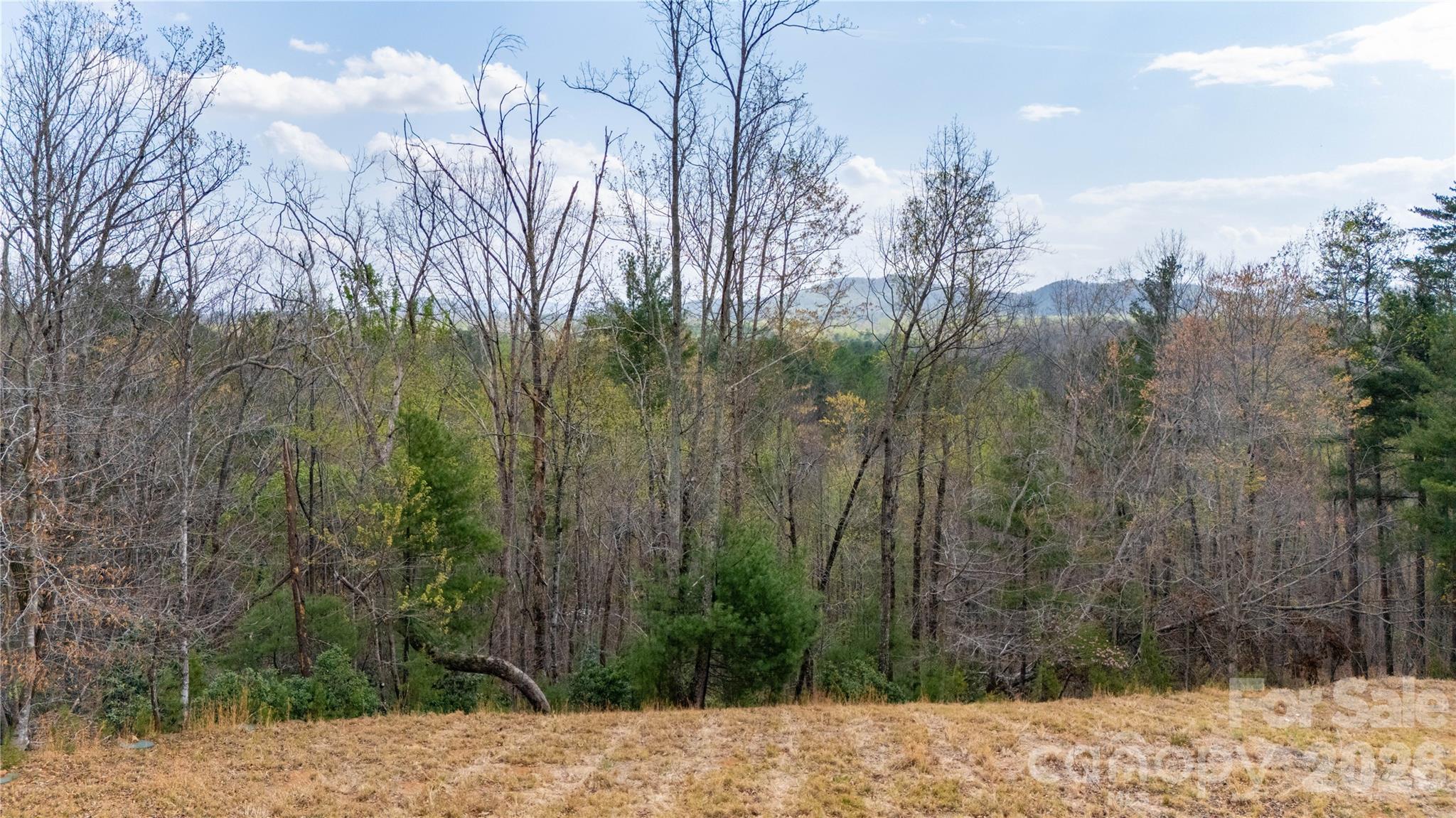 Lot at 0000 High Trail Drive, Nebo, photo 11 of 14