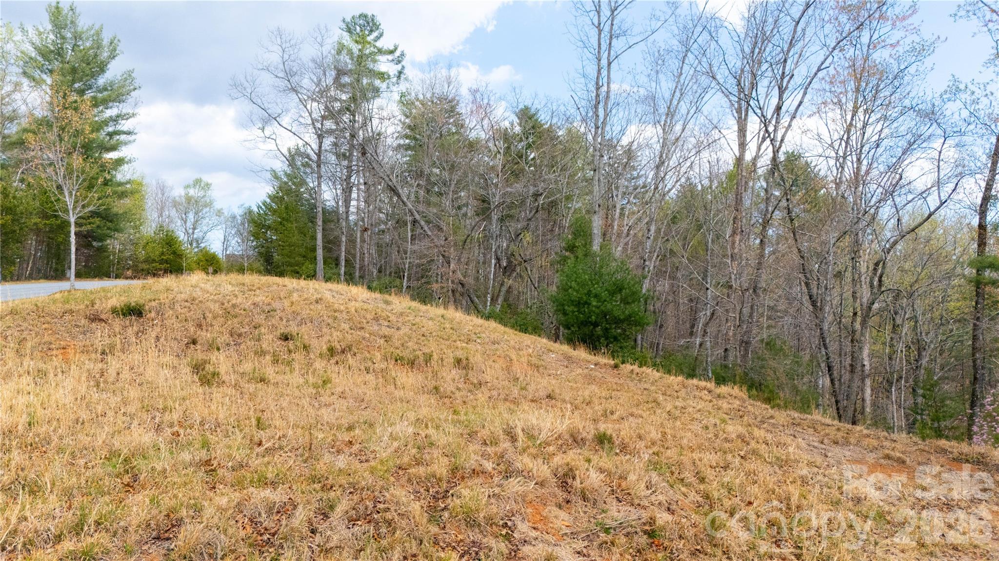 Lot at 0000 High Trail Drive, Nebo, photo 13 of 14