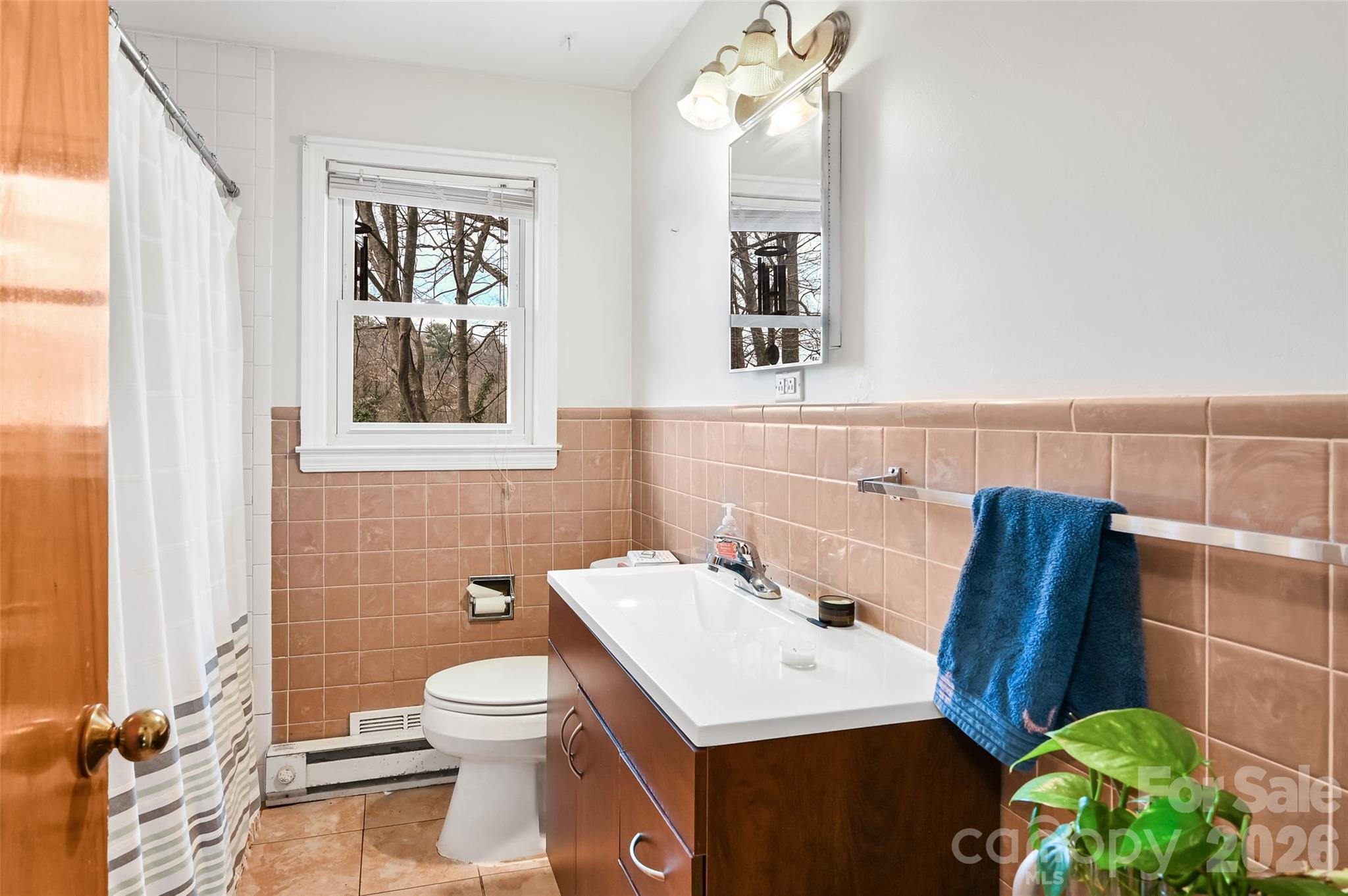 upstairs bath - 297 White Pine Drive, Asheville