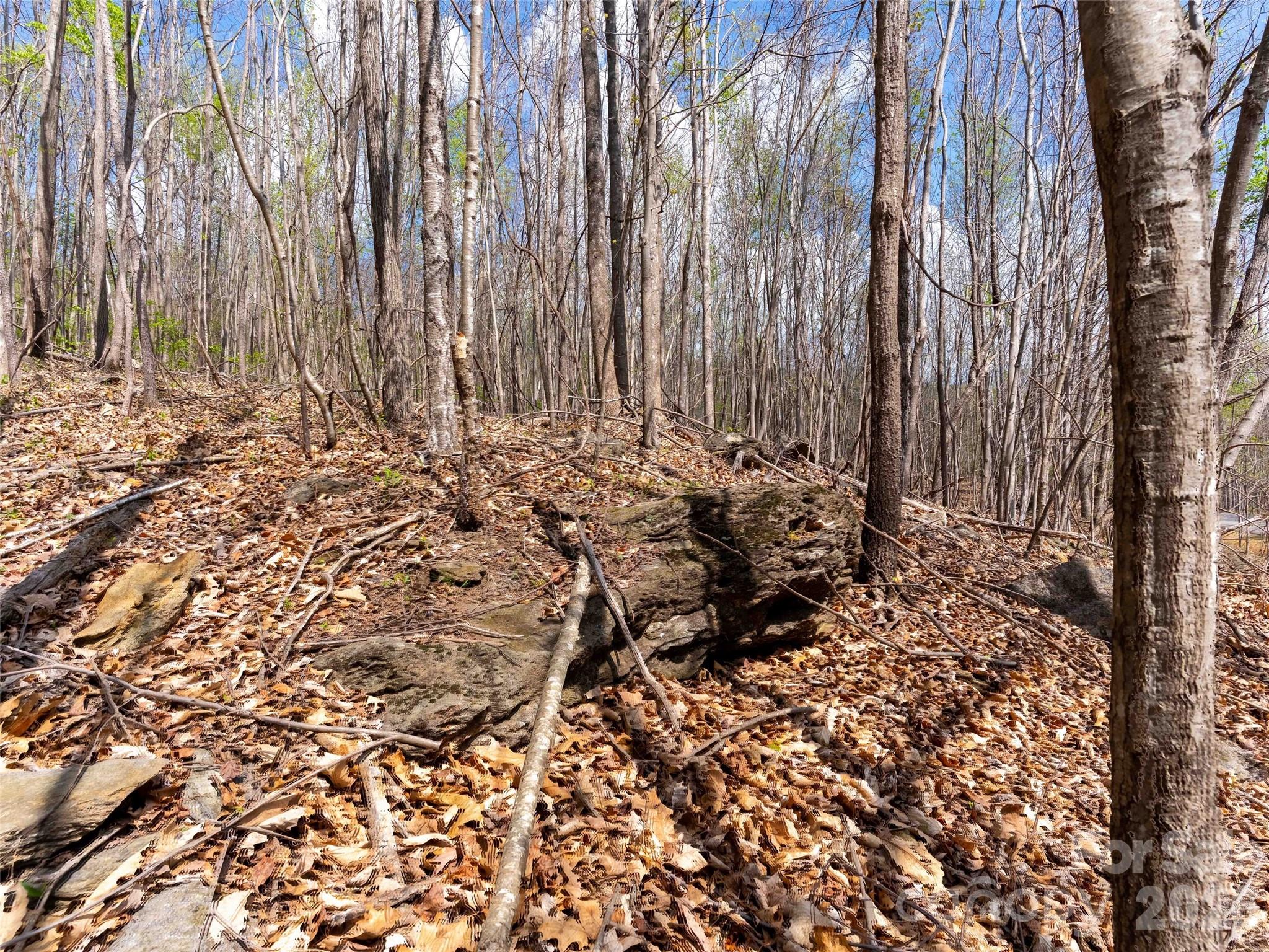 Lot at Lot 196 Cherry Hill, Mill Spring, photo 2 of 18