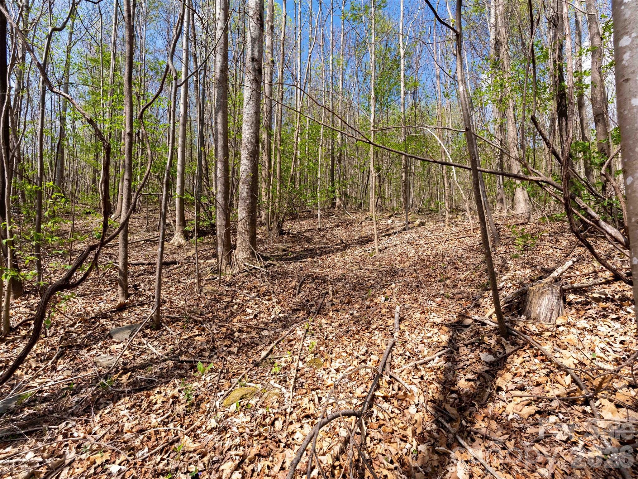 Lot at Lot 196 Cherry Hill, Mill Spring, photo 3 of 18