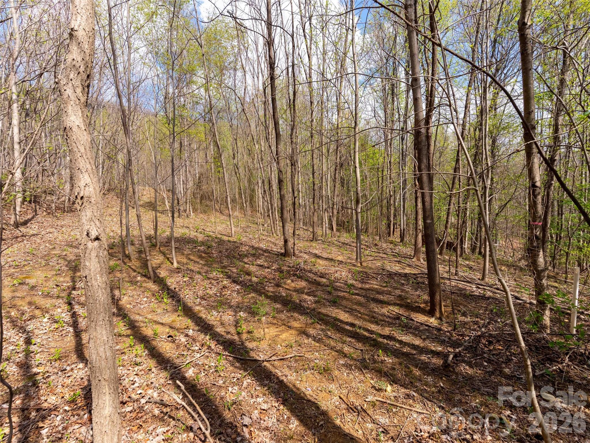 Lot at Lot 196 Cherry Hill, Mill Spring, photo 4 of 18