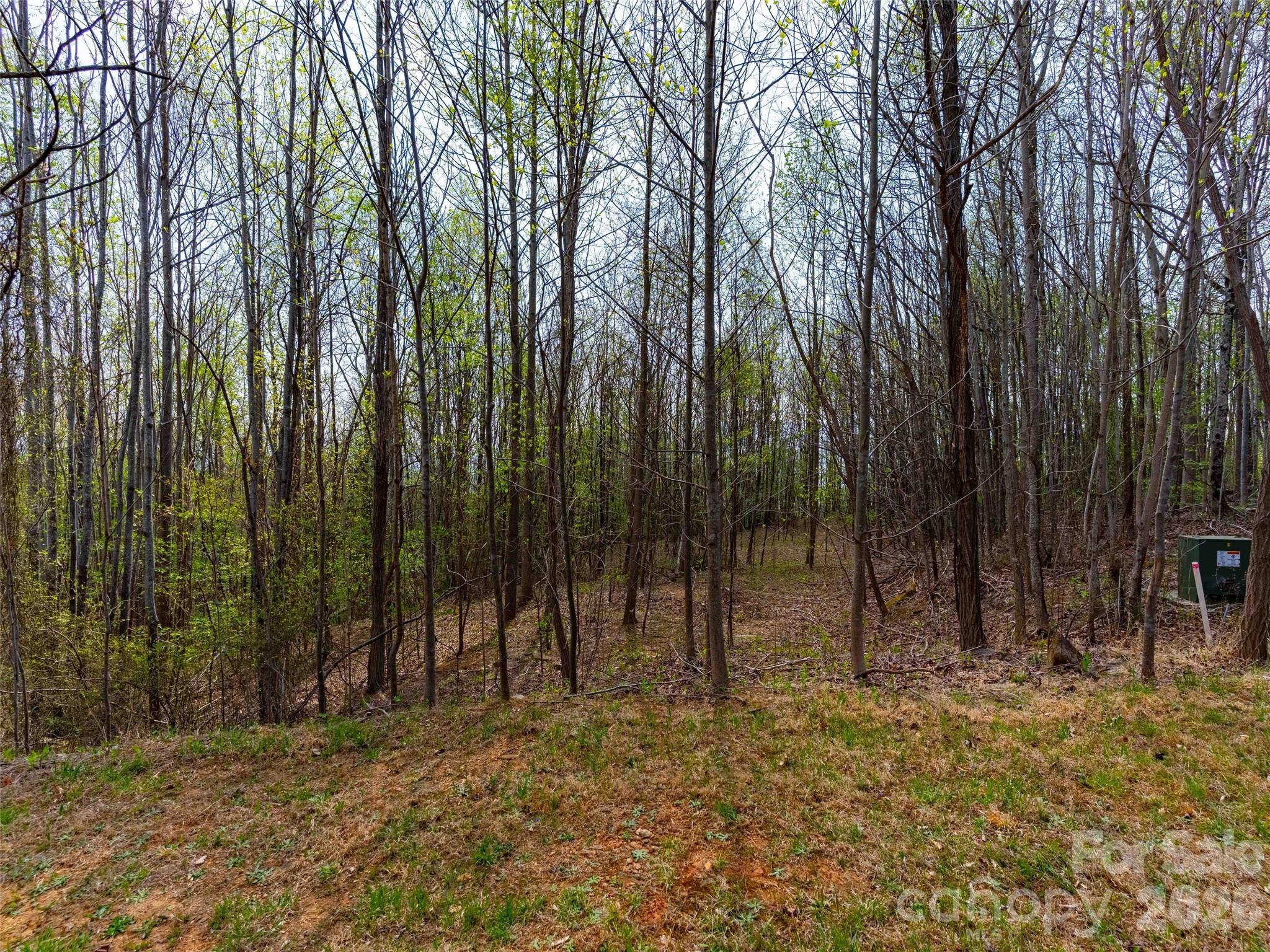 Lot at Lot 196 Cherry Hill, Mill Spring, photo 5 of 18
